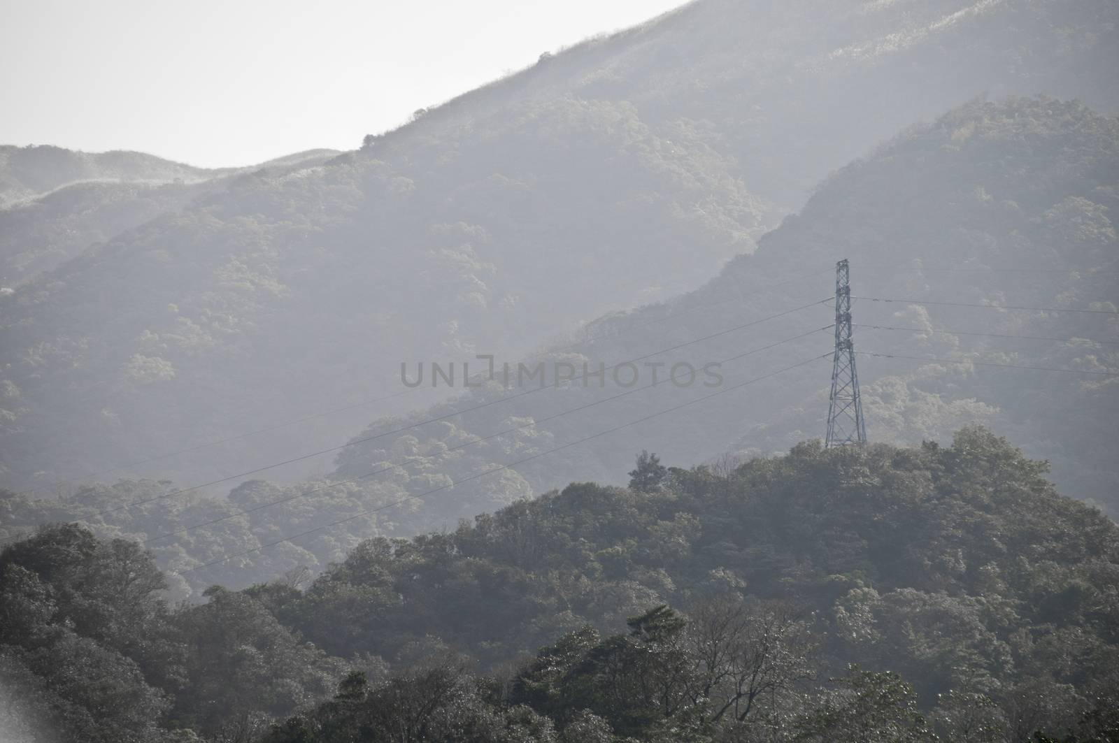 Electricity power tower in deep forest