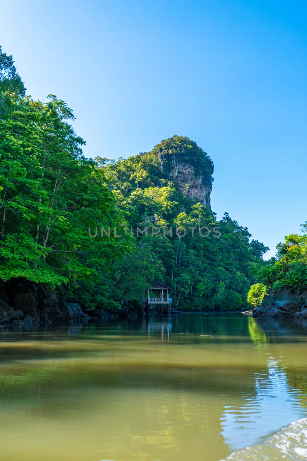 Wonderful natural landscape of Asia. View from the wide river to the forest and the mountain.
