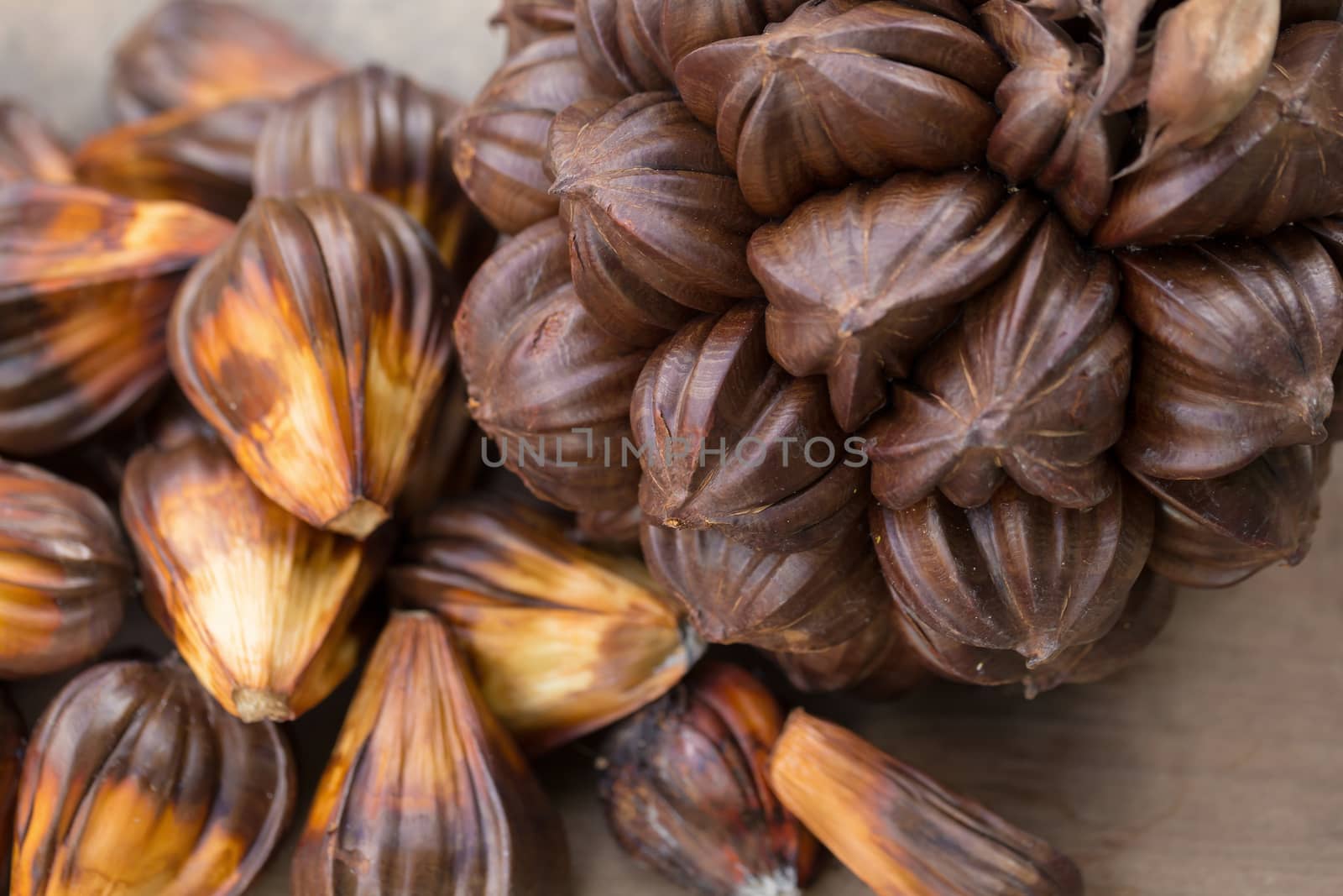 nypa palm fruit in Thailand, close up of nypa seed in nature.