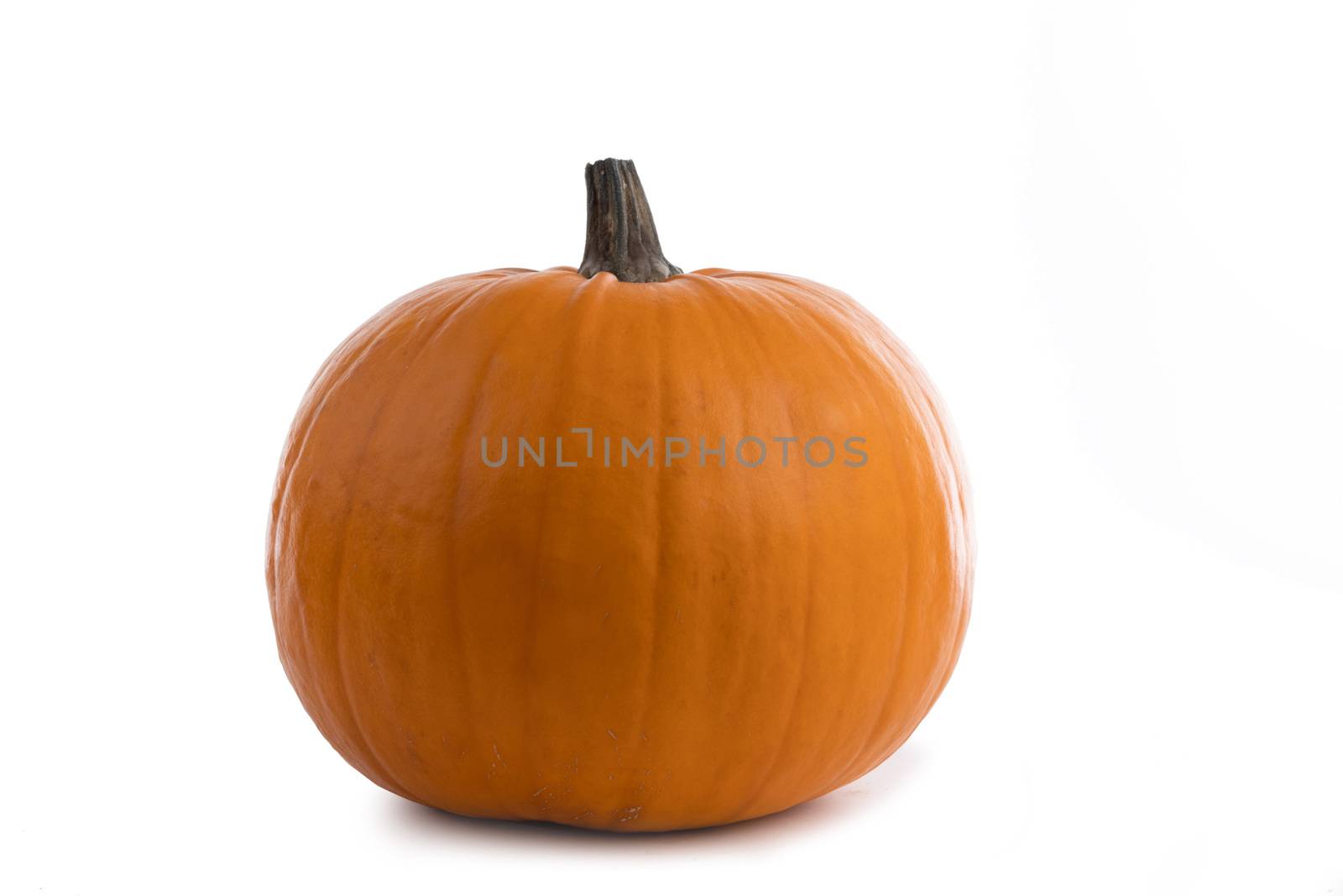 One big orange pumpkin isolated on white background