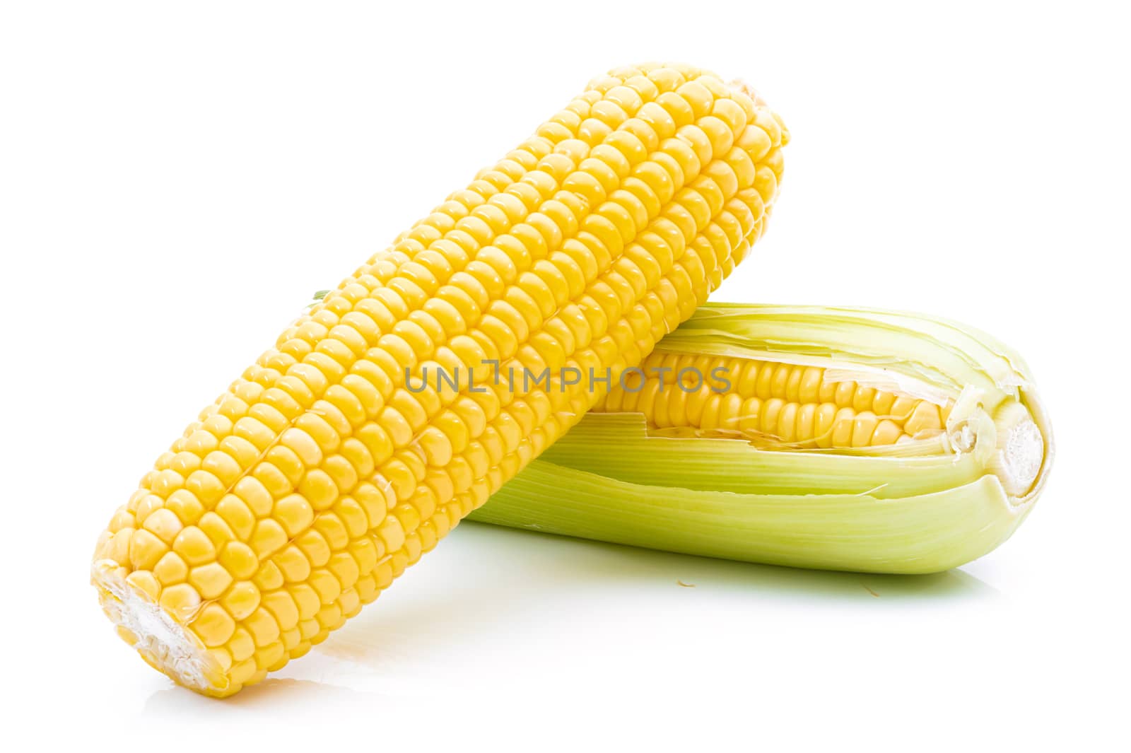 Raw corn on a white background by sompongtom
