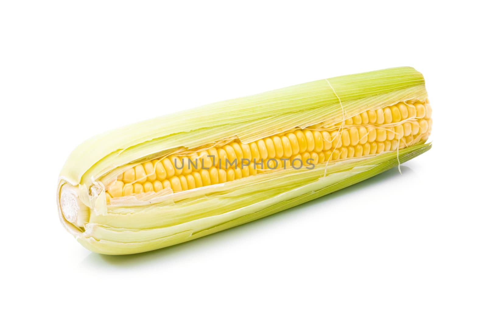 Raw corn on a white background by sompongtom