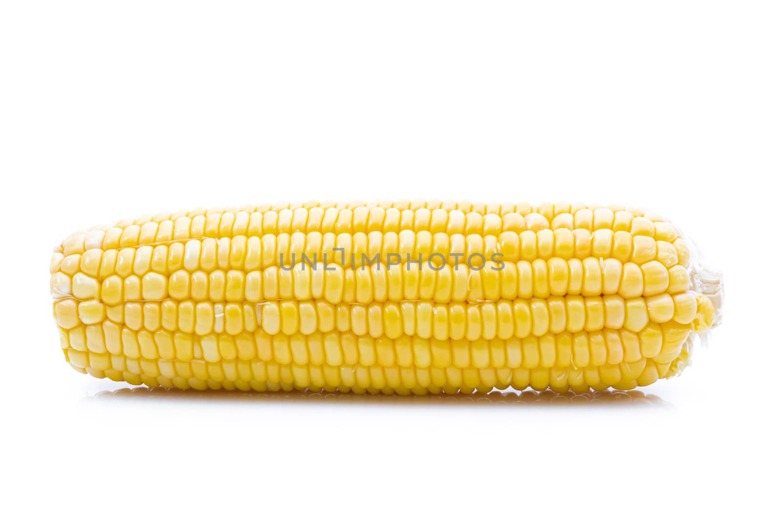 Raw corn on a white background