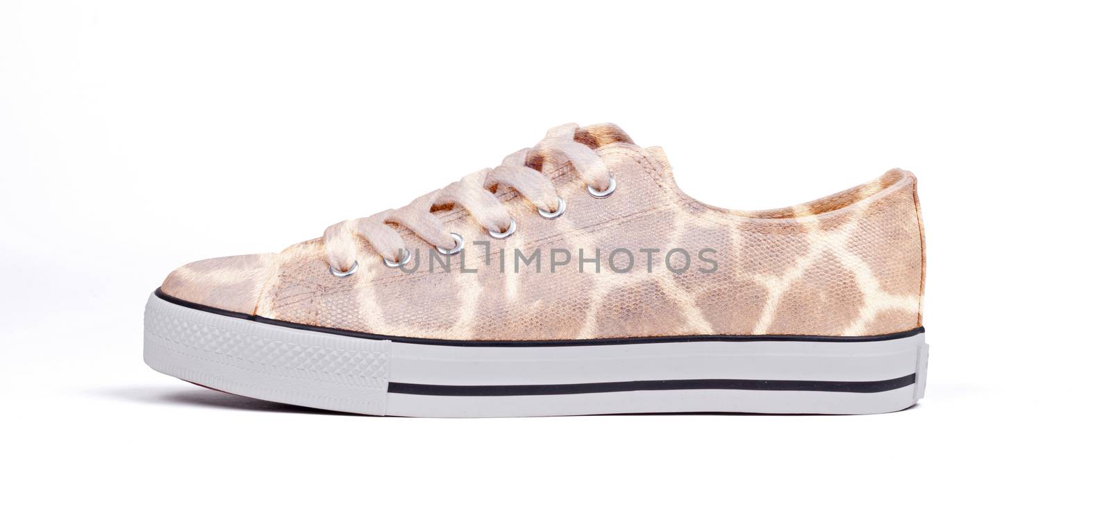 Shoe isolated on white background - Wild life print by michaklootwijk