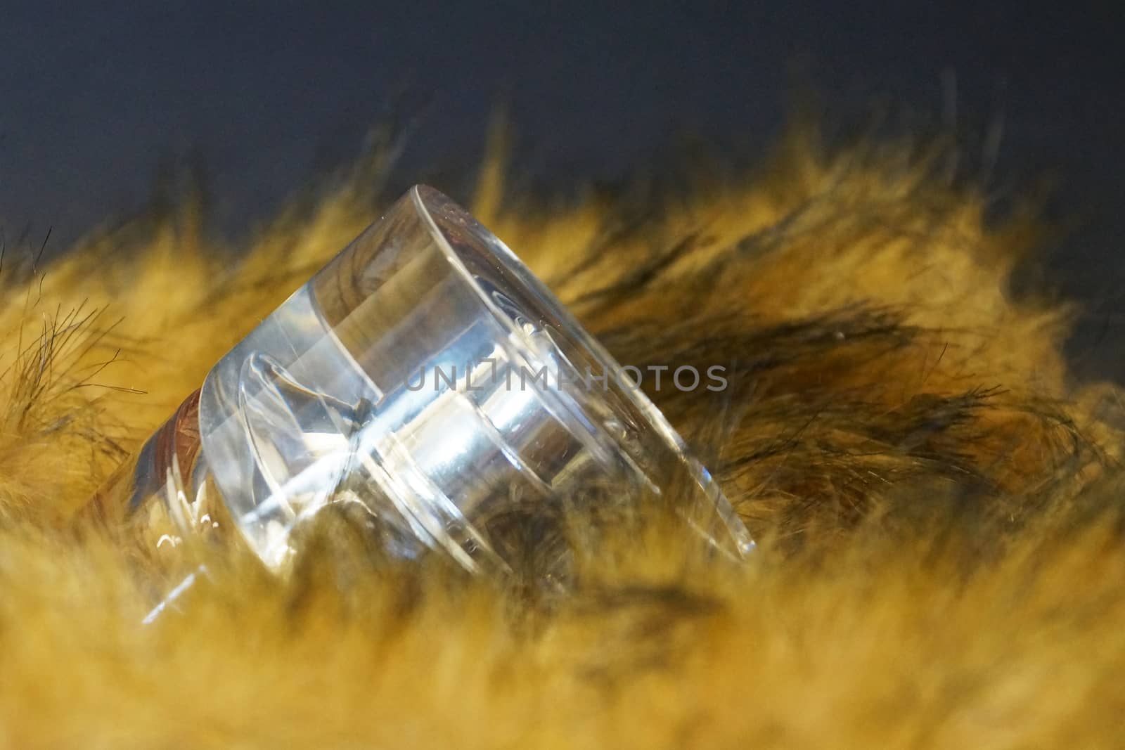 perfume bottle in yellow fur on a black background by Annado