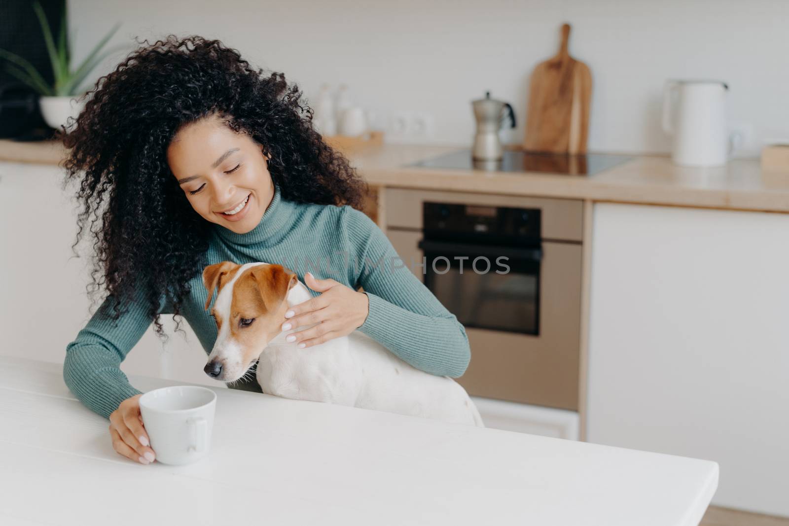 Happy Afro African woman with curly hairstyle treats dog in kitchen, pose at white table with mug of drink, enjoy domestic atmosphere, have breakfast together. People, animals, home concept. by vkstock