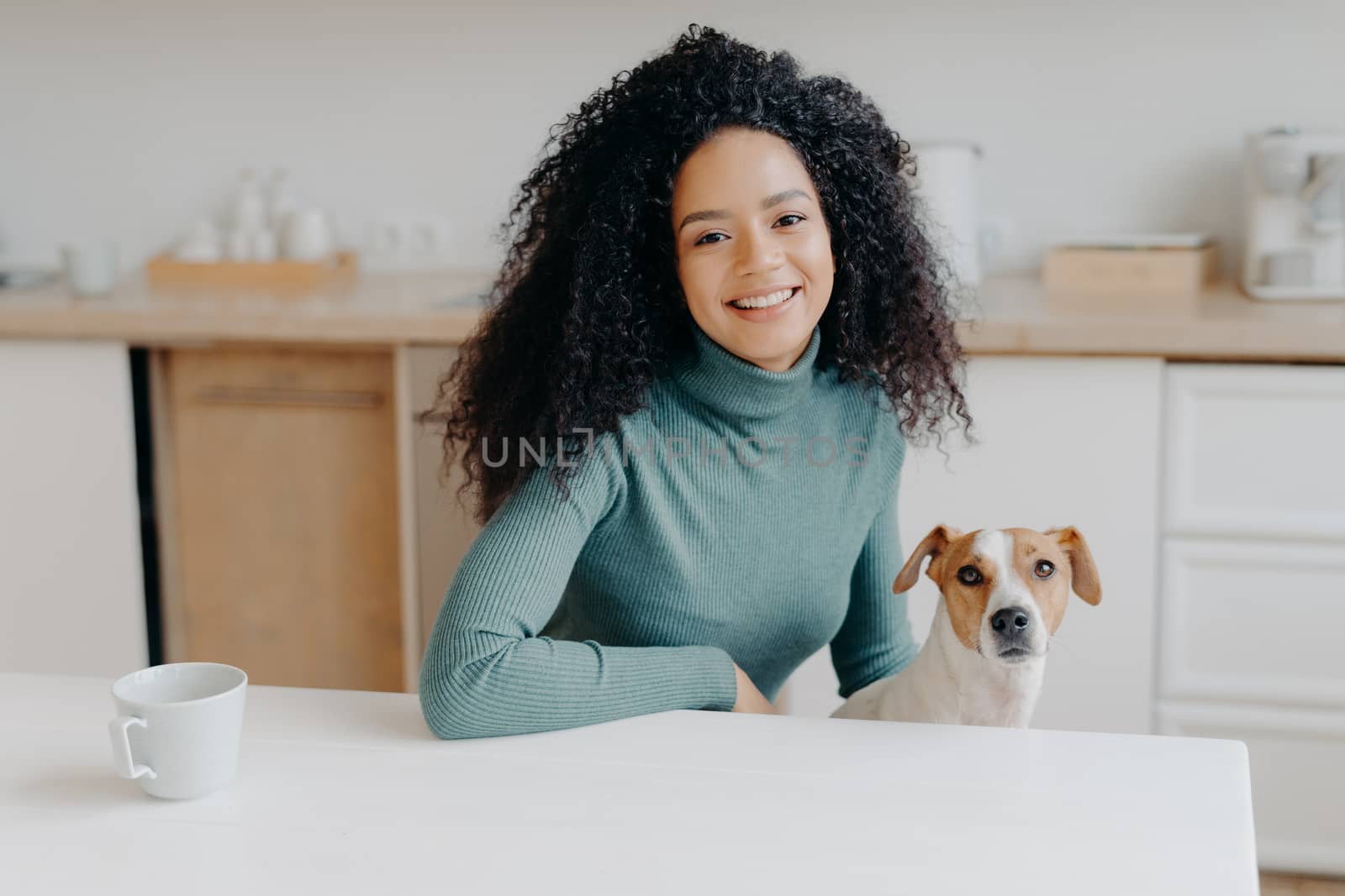 Beautiful curly haired woman dressed in casual turtleneck, sits at white table in kitchen, drinks tea from cup, plays with jack russell terrier dog, enjoys spare time. Afro lady with favourite pet