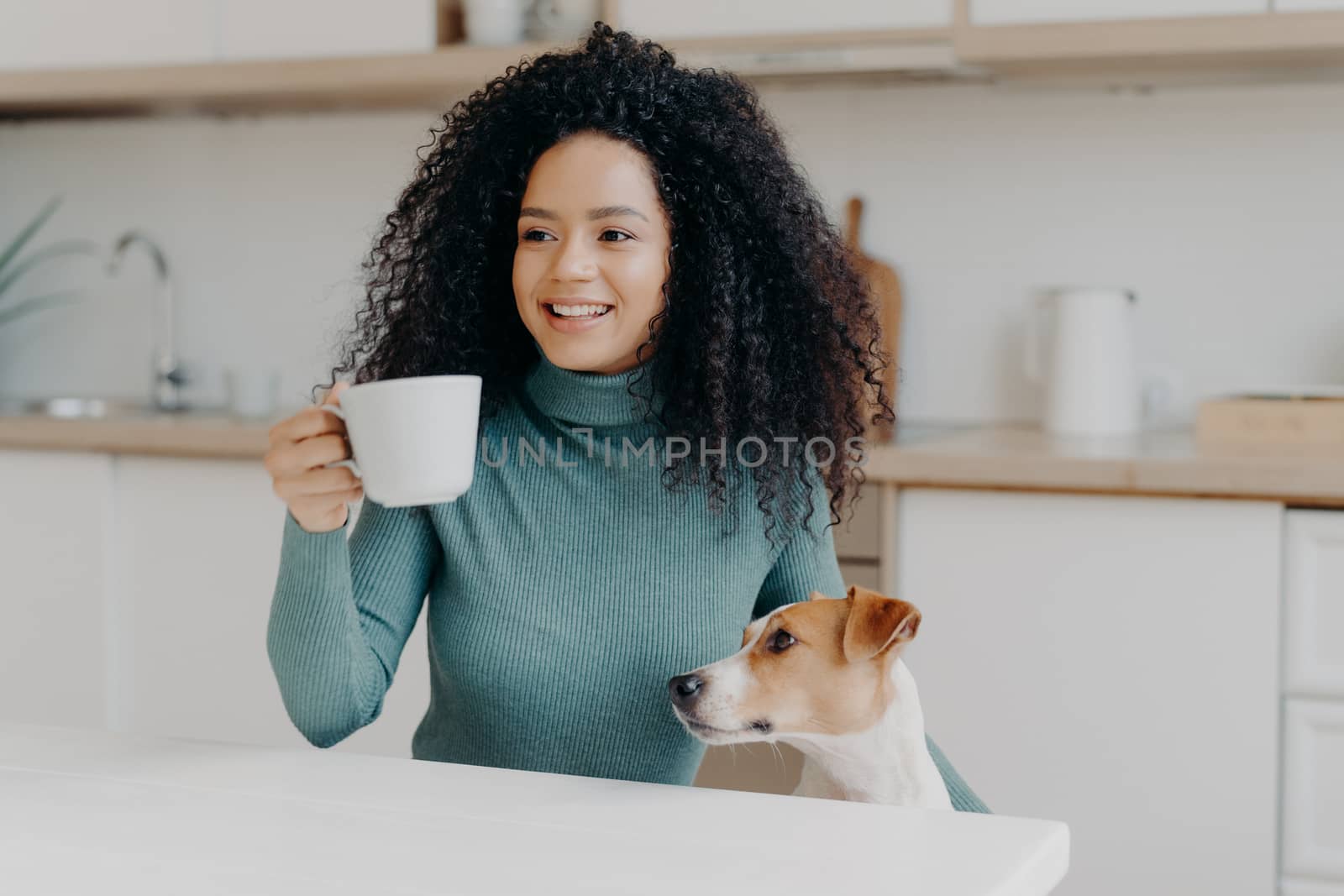 Photo of glad young woman has Afro hairstyle, holds white mug of hot drink, looks with toothy smile somewhere into distance, sits at kitchen table, spends time with favourite pet, cozy atmosphere by vkstock