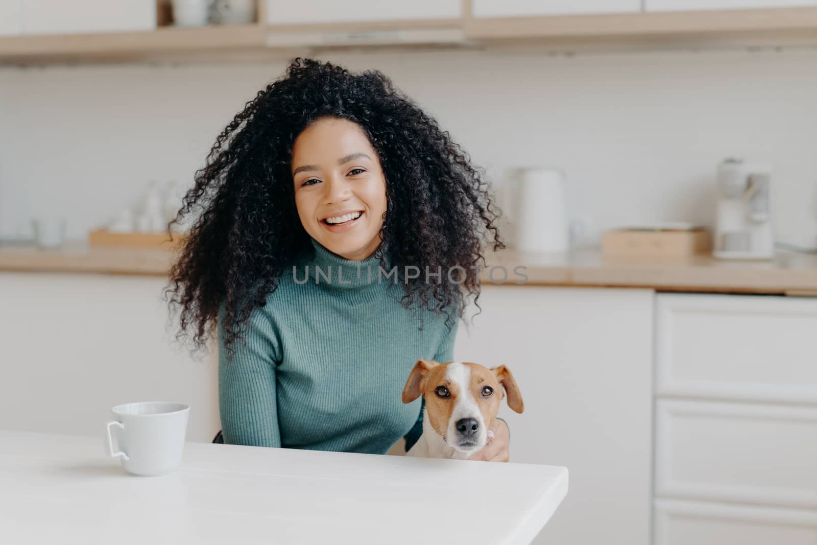 Pretty young lady with Afro hairstyle plays with dog, wears comfortable jumper, drinks coffee or tea in kitchen, going to have walk together, rejoice good weather outdoor. People, animals, spare time