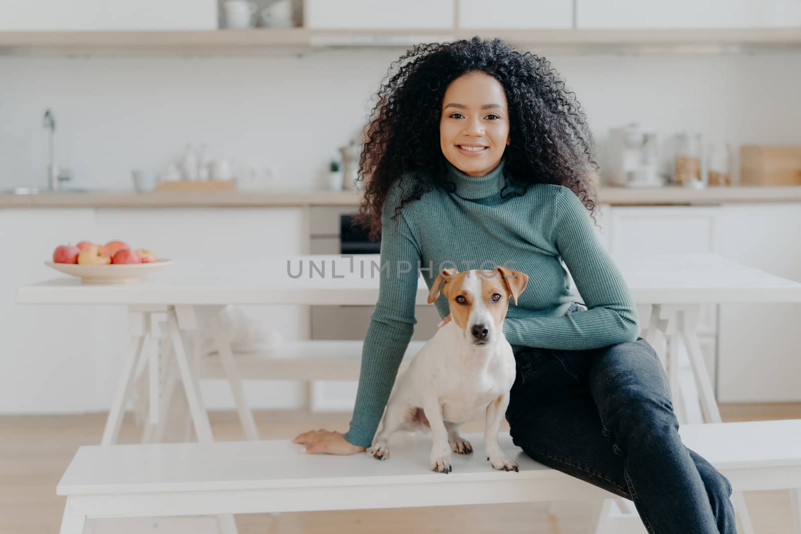 Happy housewife with Afro haircut, sits at bench with pedigree dog, have fun and look directly at camera, pose in kitchen, express good emotions, relax together. Lovely pet with owner at home by vkstock