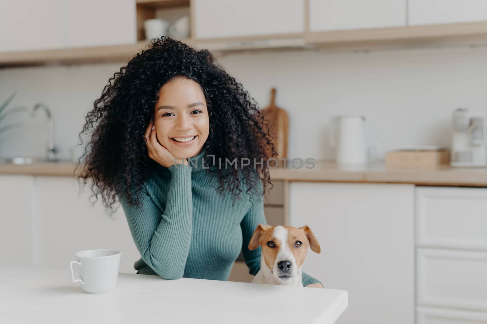 People, animals, friendship concept. Cheerful curly woman sits in kitchen , drinks hot bevereage, her loyal domestic pet poses near enjoy spending time together. Afro girl with dog in modern apartment