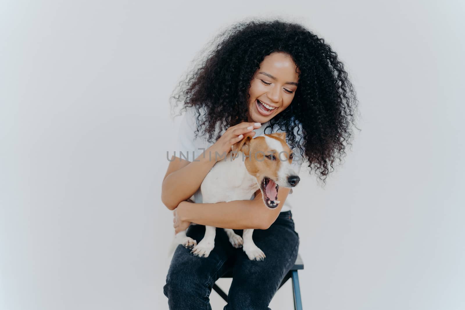 Joyful African American woman plays with pedigree dog, dressed in casual wear, petting favourite pet, isolated over white background, sits on chair. Positive human expressions. Friendship concept by vkstock