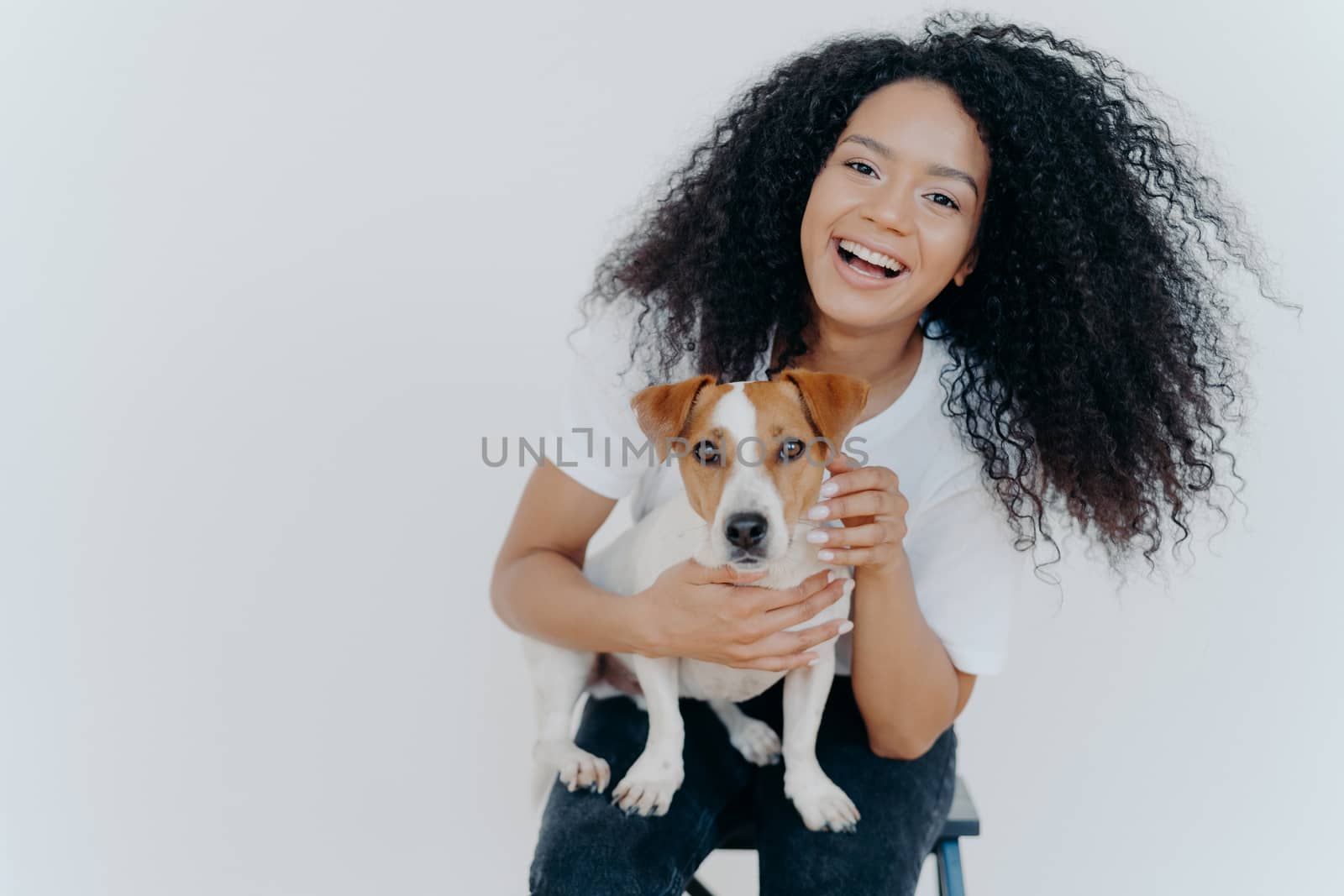 Portrait of joyful curly girl petting her dog, rejoicing buying jack russell terrier, smiles broadly, plays with animal, wears casual clothing, isolated over white background, enjoys good day by vkstock