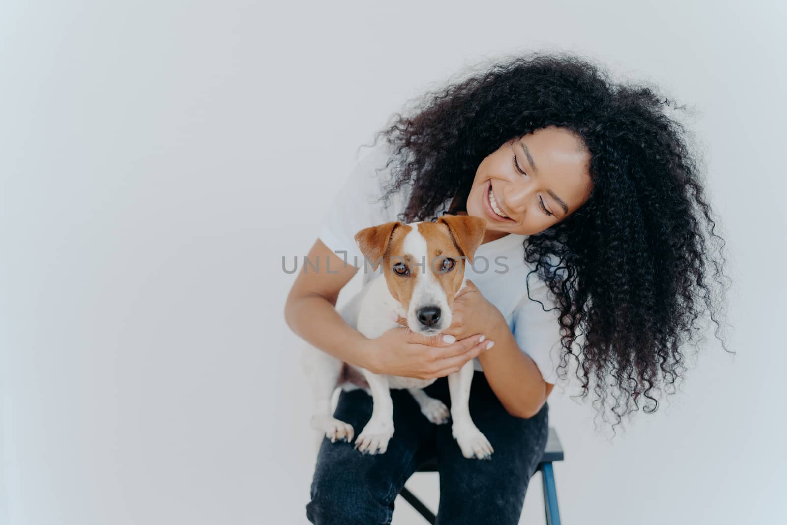 Glad dark skinned girl plays with jack russell terrier dog, have fun together, poses against white background, dressed casually. Happy Afro girl poses with pet indoor. People, animals, fun concept by vkstock