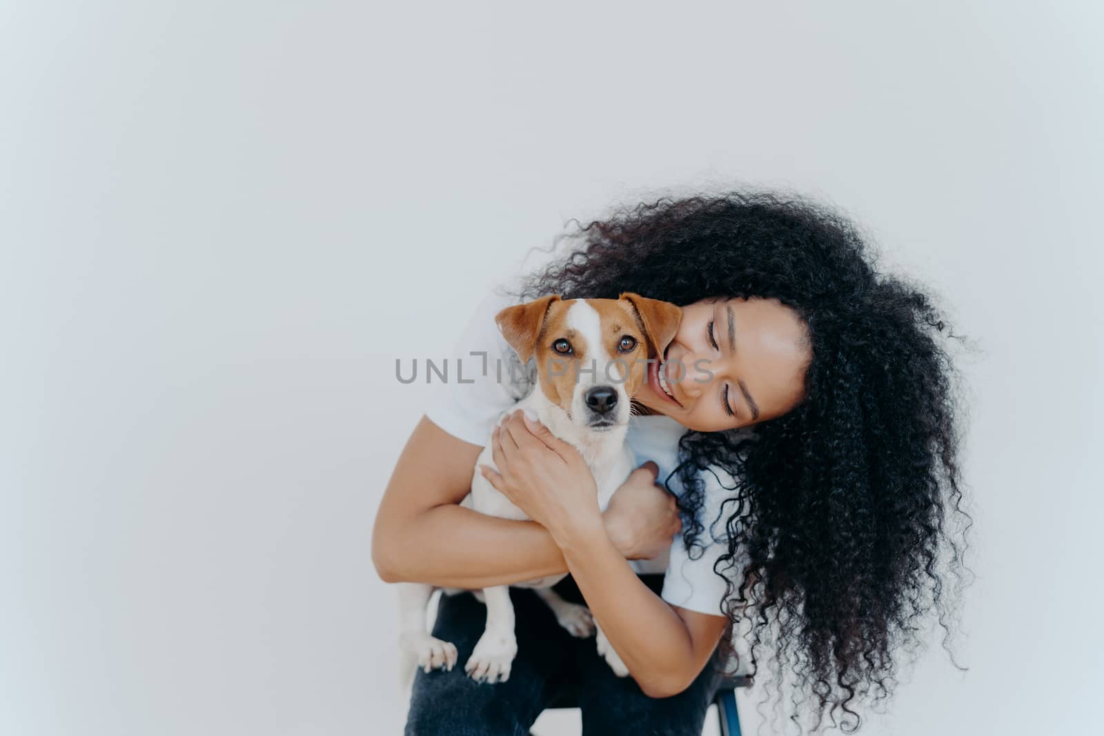 Image of playful pretty woman with Afro hairstyle, smiles gladfully, holds domestic animal, carries dog to veterian, isolated over white background. Glad lady petts jack russell terrier at home. by vkstock