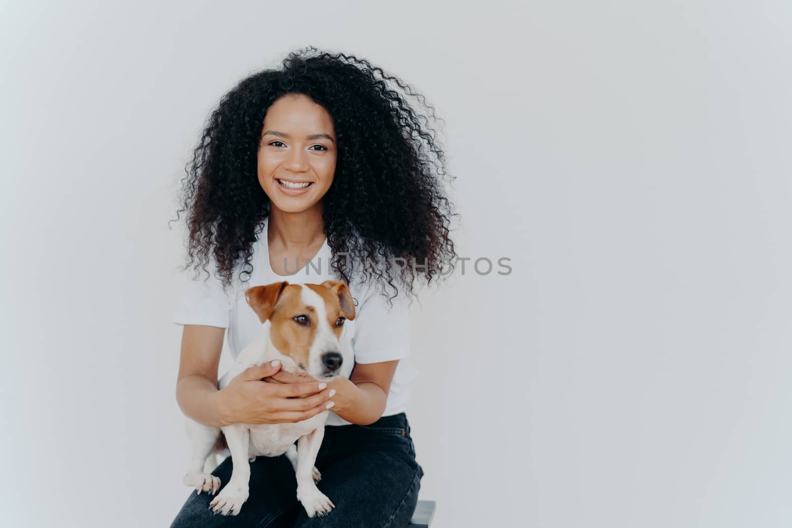 Humans and animals concept. Cheerful good looking woman with crisp hair, smiles pleasantly, plays with pedigree dog, sits on comfortable chair, makes memorable shot, pose against white background by vkstock