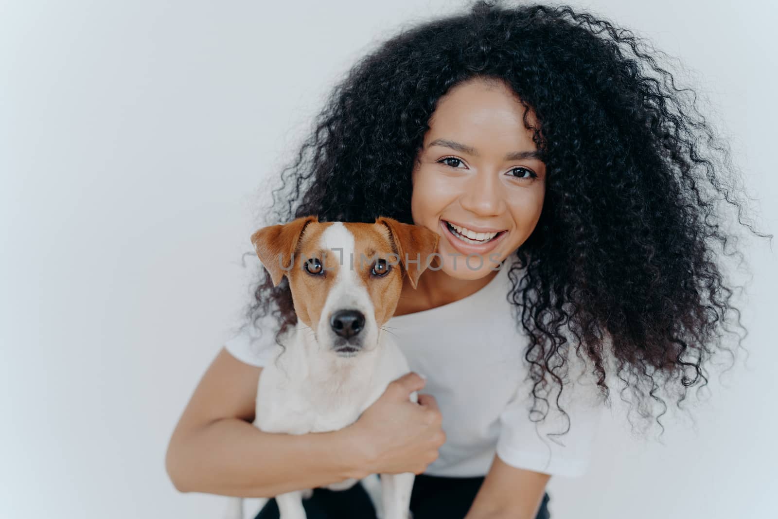 Close up shot of beautiful happy Afro woman with bushy curly hair, embraces favourite dog and have fun together at home, expresses love to jack russell terrier puppy, isolated over white background by vkstock