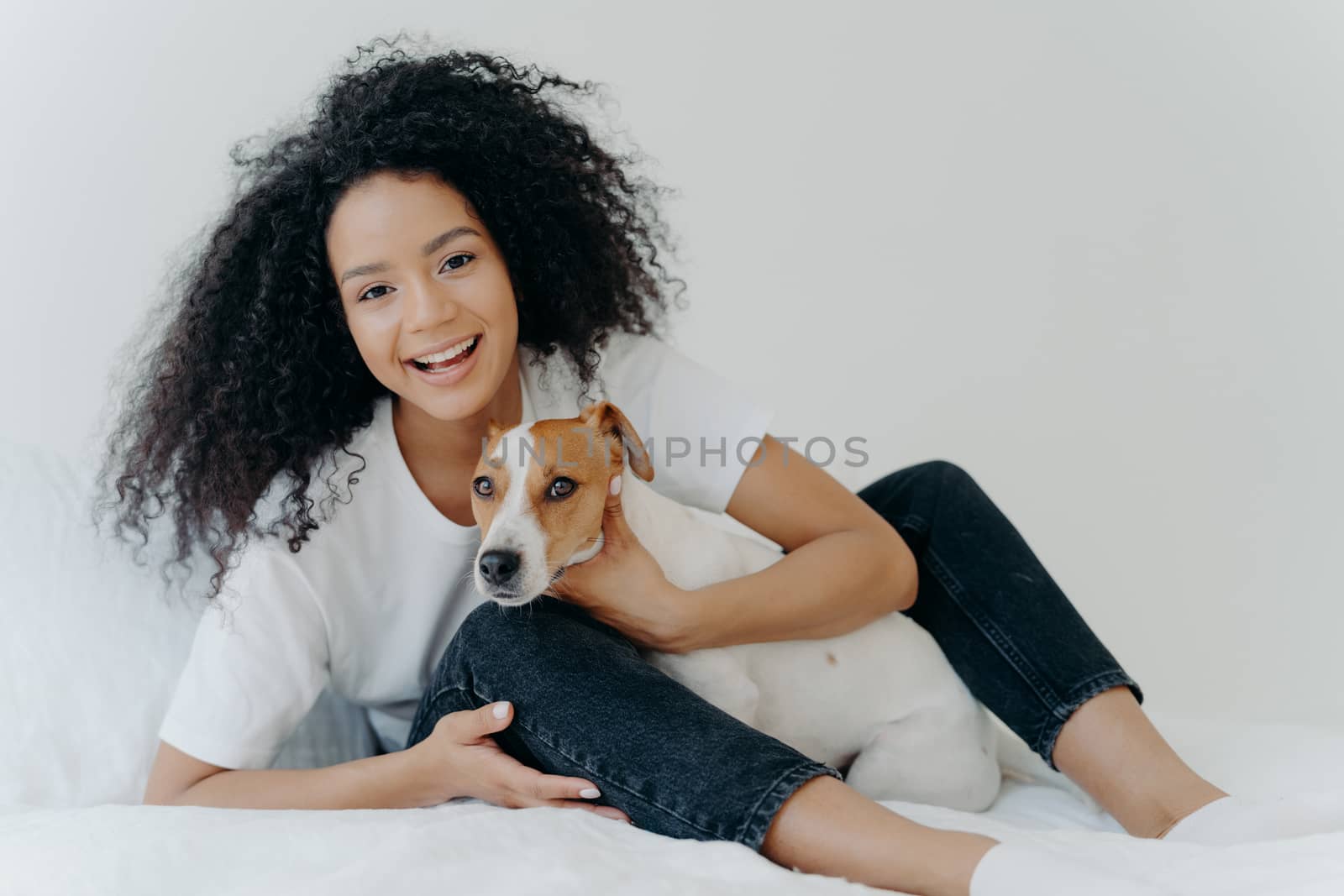 Horizontal shot of glad Afro woman rests in bed with dog, have playful mood, pose together in bedroom against white background. Girl relaxes at home with jack russell terrier. Sweet funny moment by vkstock