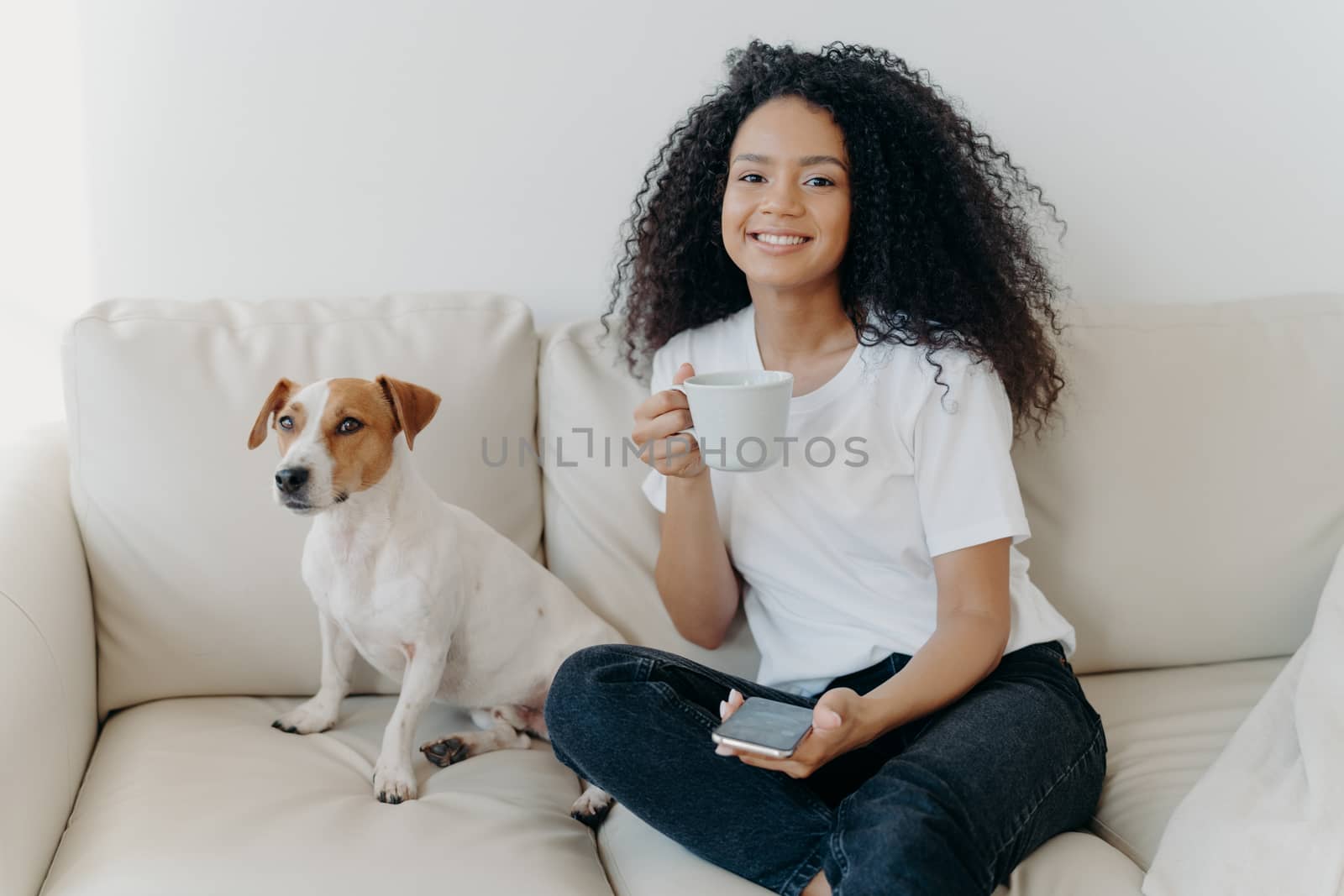 Positive lovely teenage girl with glad expression, texts message in social media, uses app on cellular, connected to wireless internet, poses on couch with dog, drinks tea, spends free time at home.
