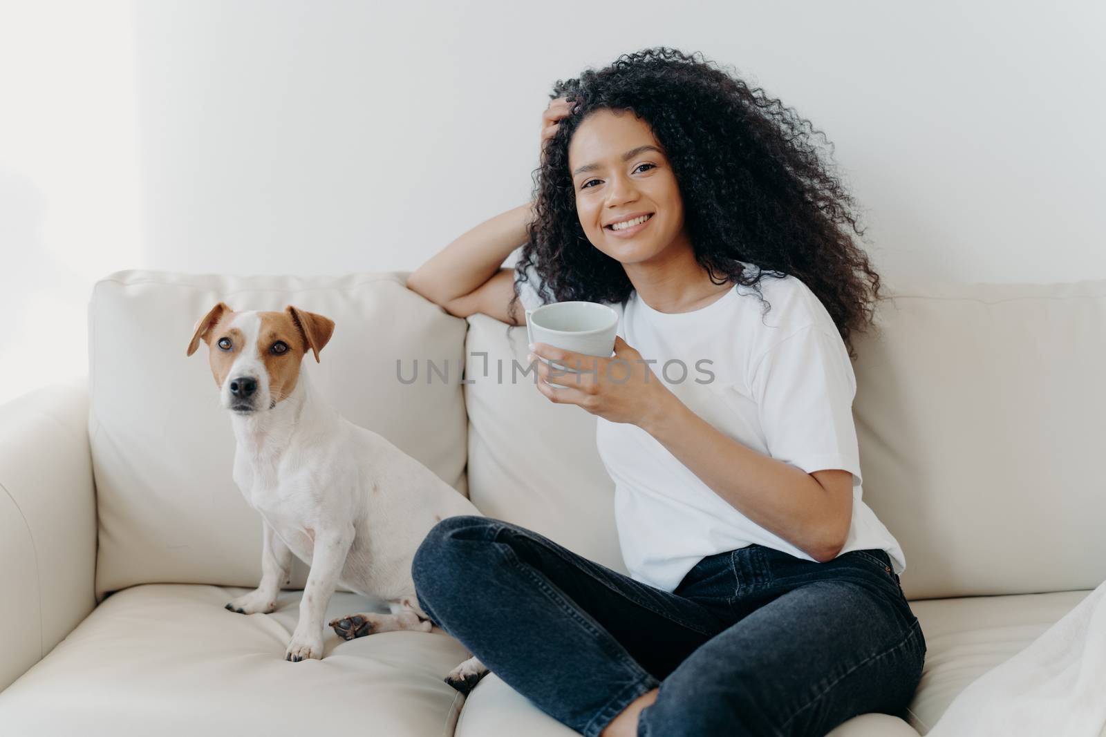 Beautiful woman with Afro haircut, drinks coffee, poses in living room at sofa with pedigree dog, wears white t shirt and jeans, enjoys coziness and comfort at home. People, animals, lifestyle by vkstock