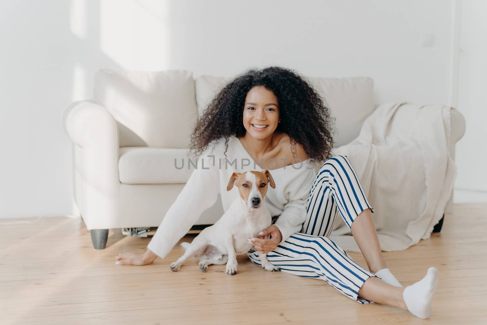 Relaxed young African American woman sits on floor in empty room near sofa with pedigree dog, enjoys sweet moment at home, move in new apartment to live. Lady rests with puppy in living room