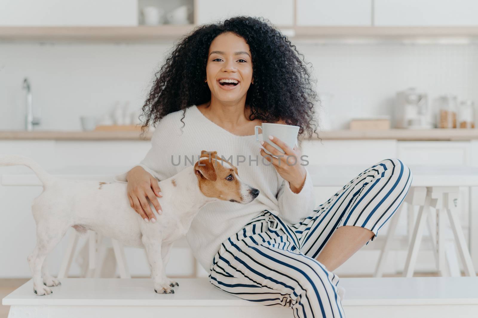 People, leisure and animals concept. Joyful dark skinned woman petts favourite dog, drinks hot beverage from white cup, looks happily aside spend time in kitchen. Caring host with jack russell terrier