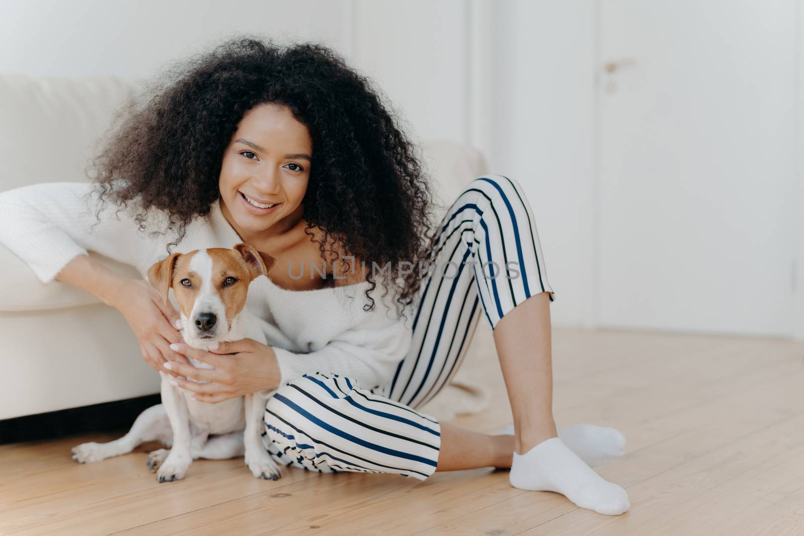 Indoor shot of pleased curly haired female model poses for photo with jack russell terrier dog, embraces pet tenderly, sits on floor with beloved animal near comfortable sofa, spend time together by vkstock