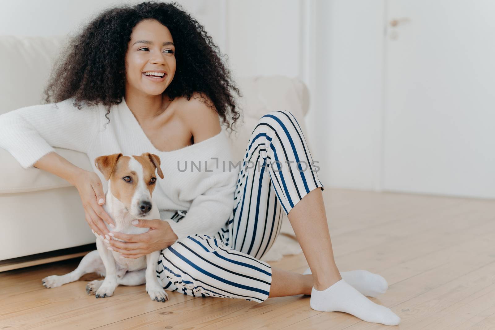 Cute cheerful young African American female sits on floor near sofa, plays with dog, dressed in stylish clothing, looks gladfully somewhere, spends free time at home. Happy pet owner indoor. by vkstock