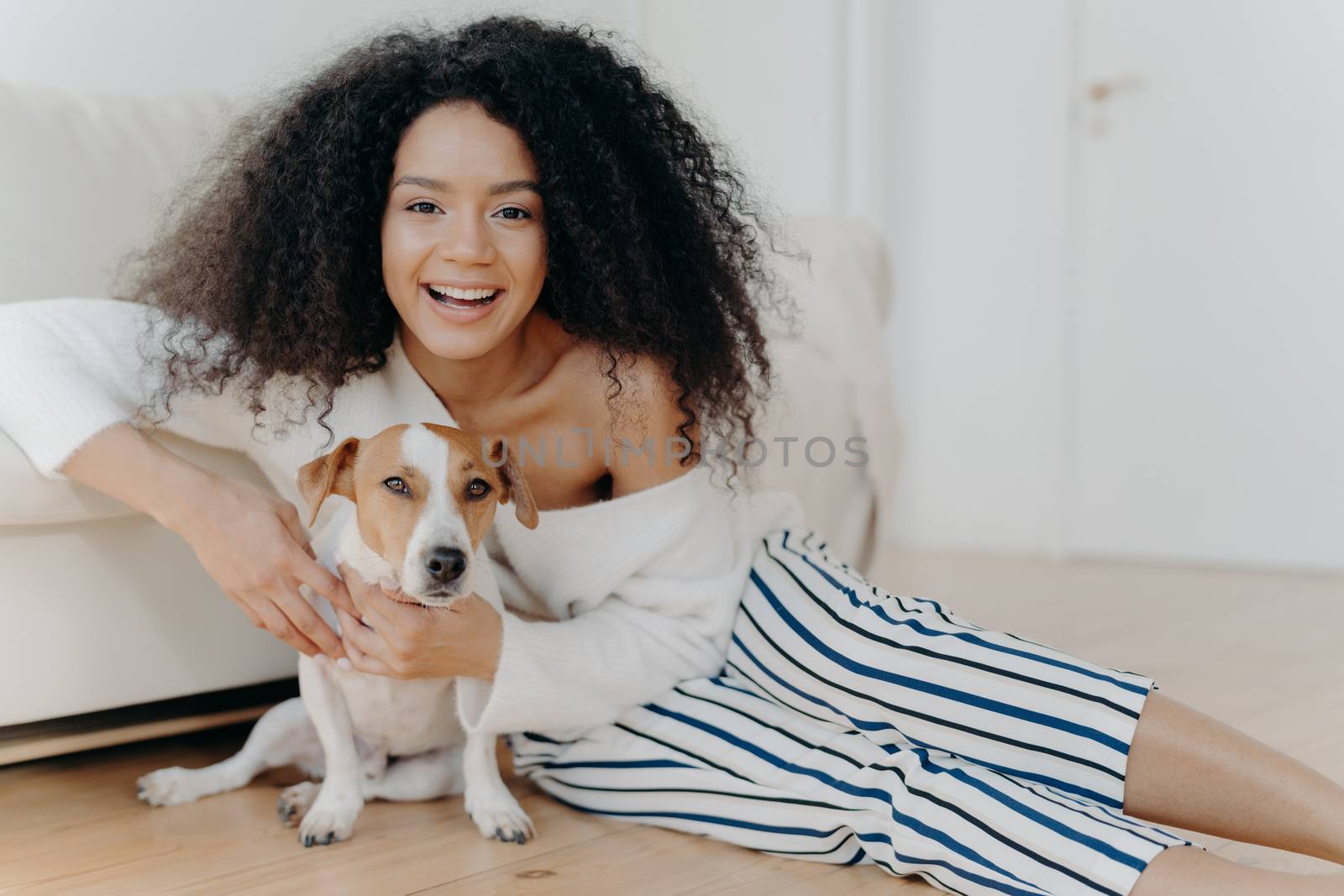 Image of happy curly woman plays with funny little dog, pose on floor in spacious room, sofa near, smiles broadly, embraces pet with love, dressed in fashionable clothes, has fun with animal by vkstock