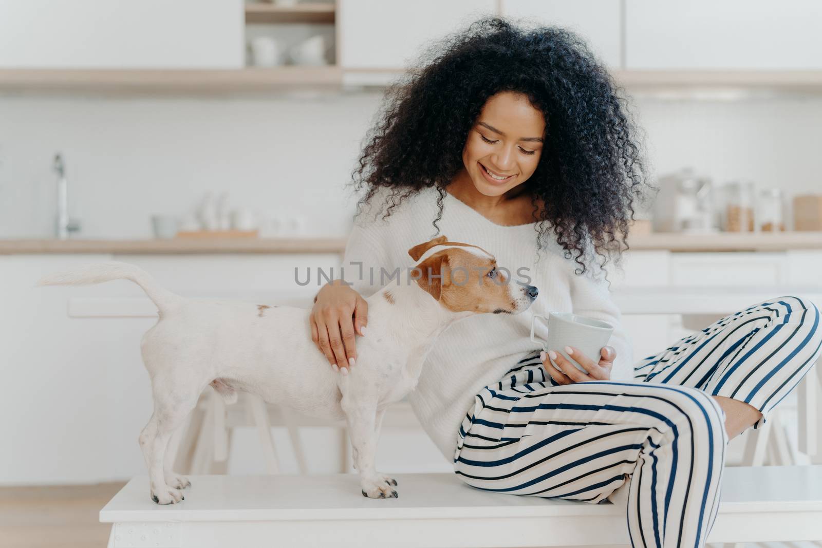 Shot of pleasant looking young woman focused down, plays with favourite dog, holds cup of drink, pose together in kitchen, express love, has free time. Relationship between people and animals by vkstock