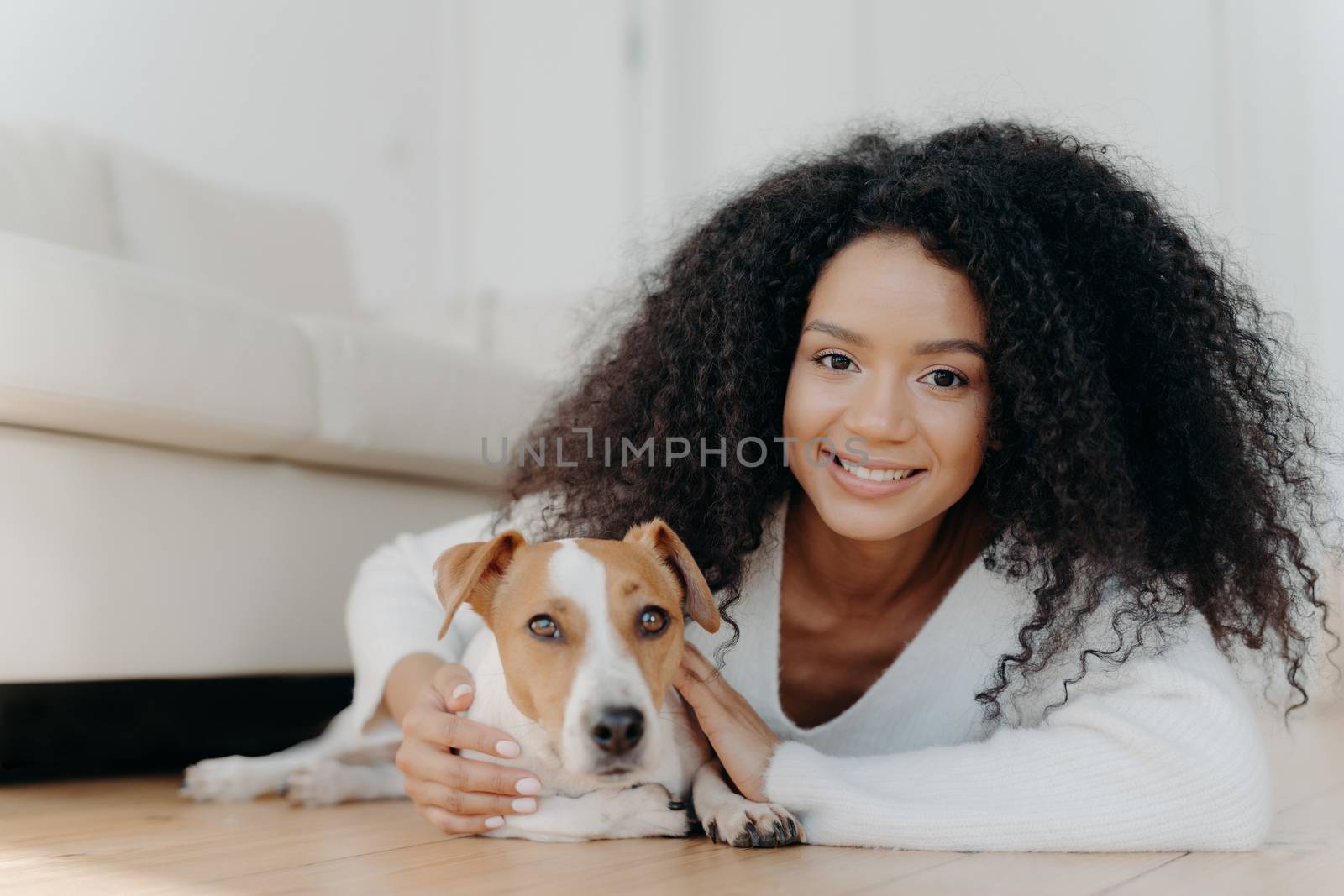Pretty girl with Afro hair, lies on floor with dog, expresses pleasant emotions, poses in living room near couch, bought pet in new apartment. Woman host with beloved animal at home, share good moment by vkstock
