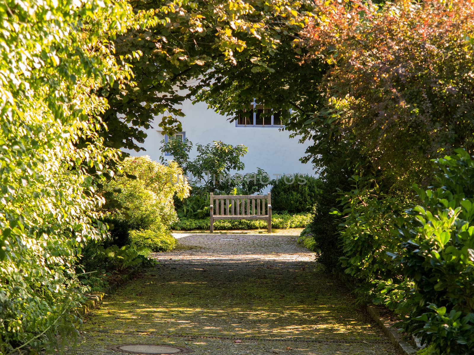 Tree tunnel and path to a wooden bench
