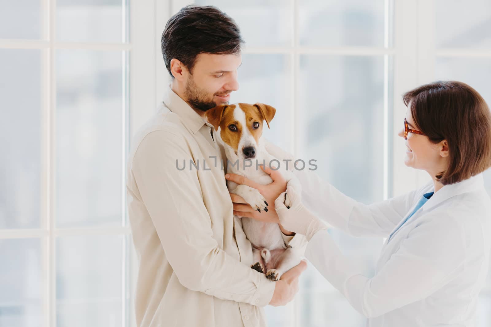 Animal care and diagnosis concept. Shot of vet, dog owner and jack russell terrier pose in veterinarian clinic, doctor examines sick animal, gives prescriptions, stand in medical office or hospital by vkstock