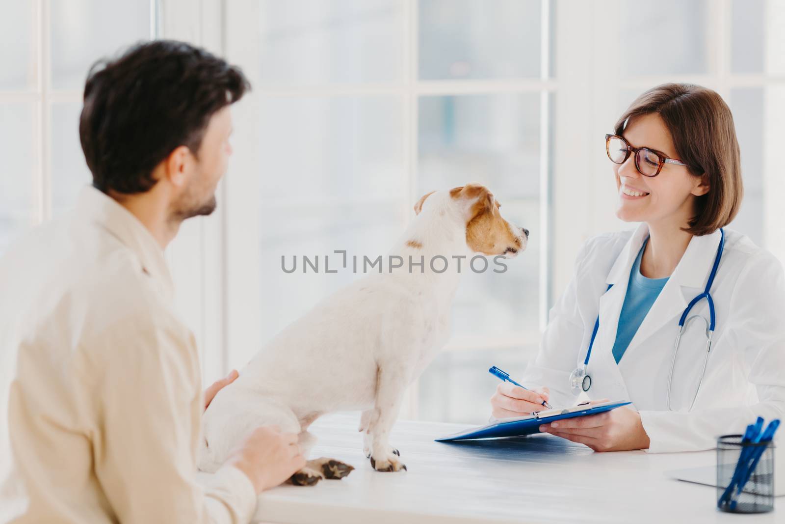Vet checks pet in hospital, modern office, communicates with male host, writes down form in clipboard, likes animals, cares about health. Dog owner in doctors cabinet with jack russell terrier by vkstock