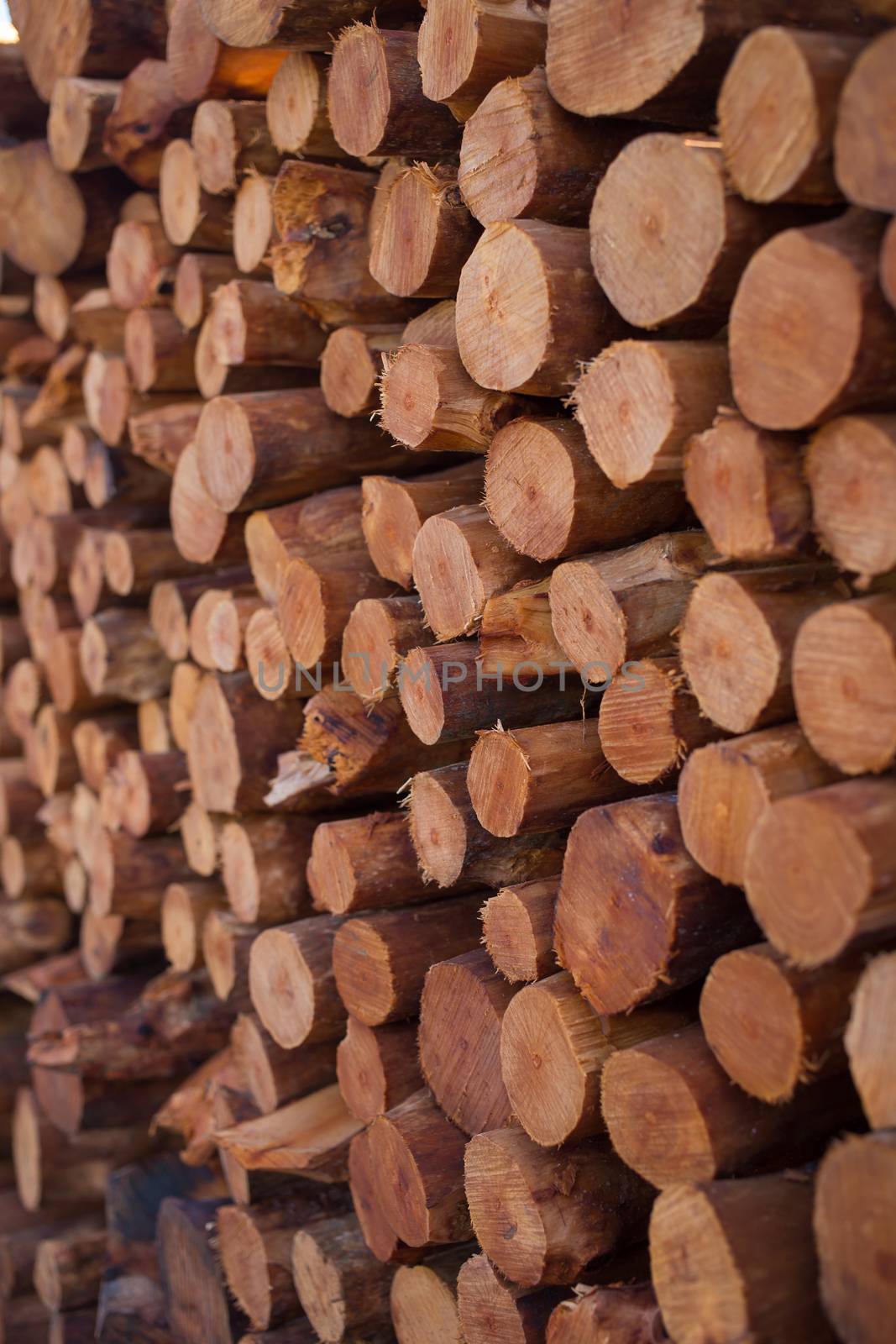 Firewood stacked and prepared for winter Pile of wood logs by kaiskynet