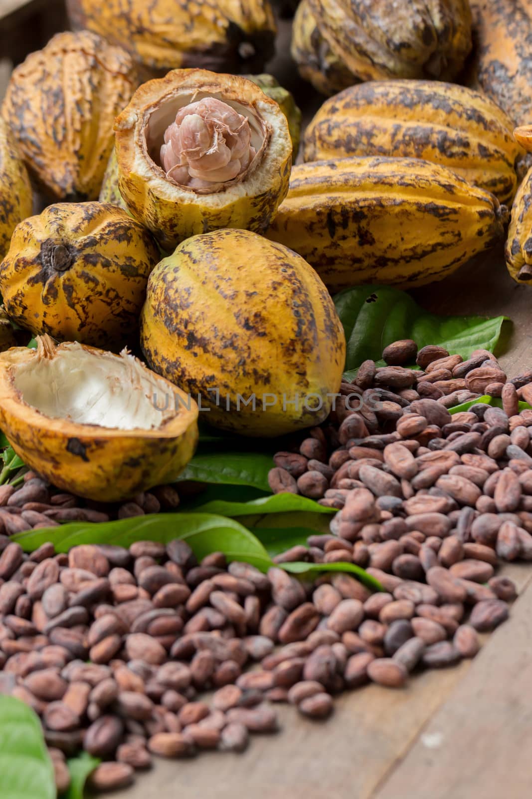 Raw Cocoa beans and cocoa pod on a wooden surface.