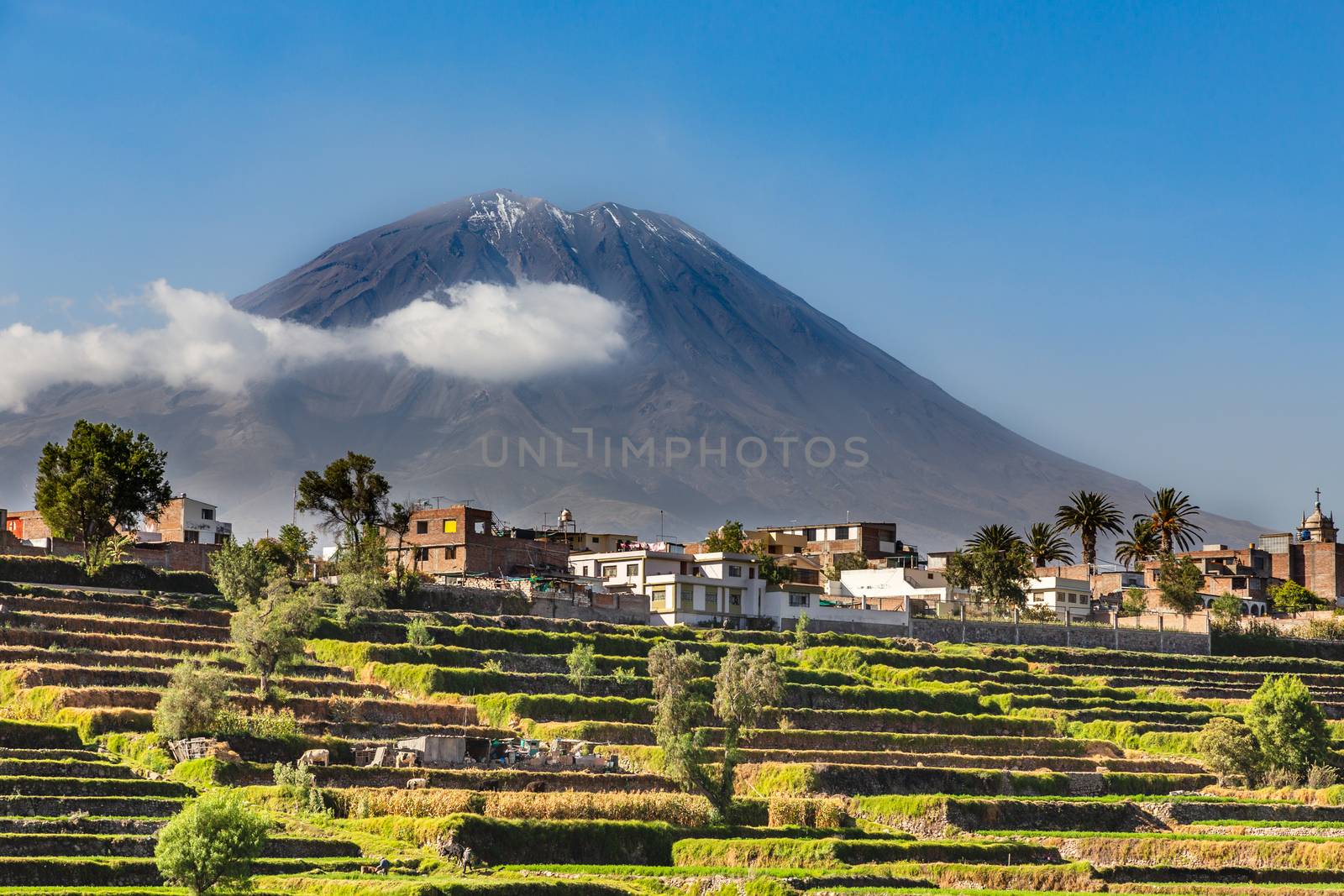 Dormant Misti Volcano over the fields and houses of peruvian cit by ambeon