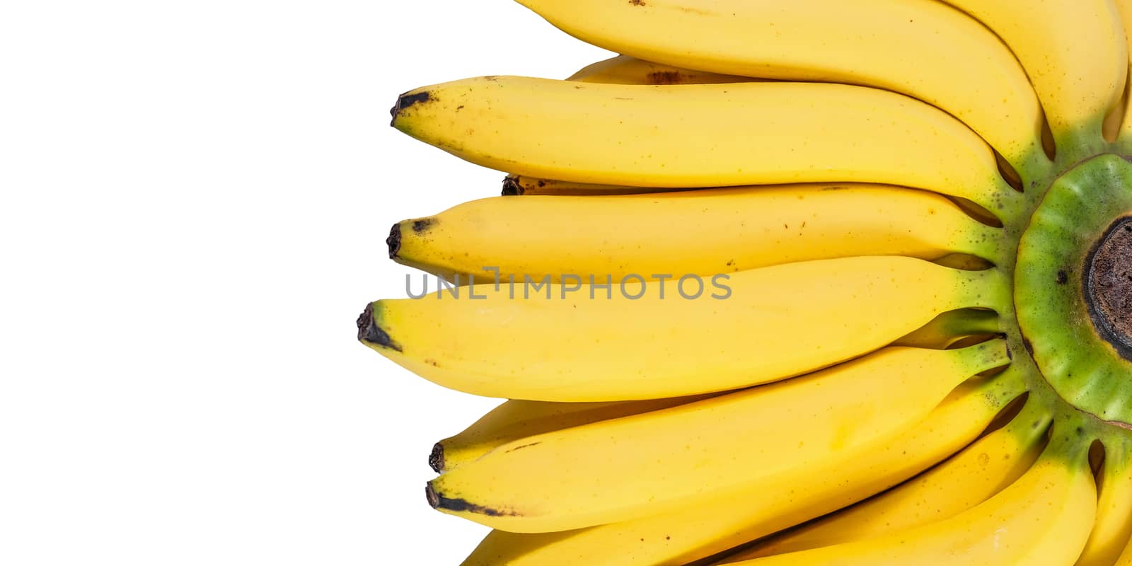 Bananas isolated on the white background. by Surasak