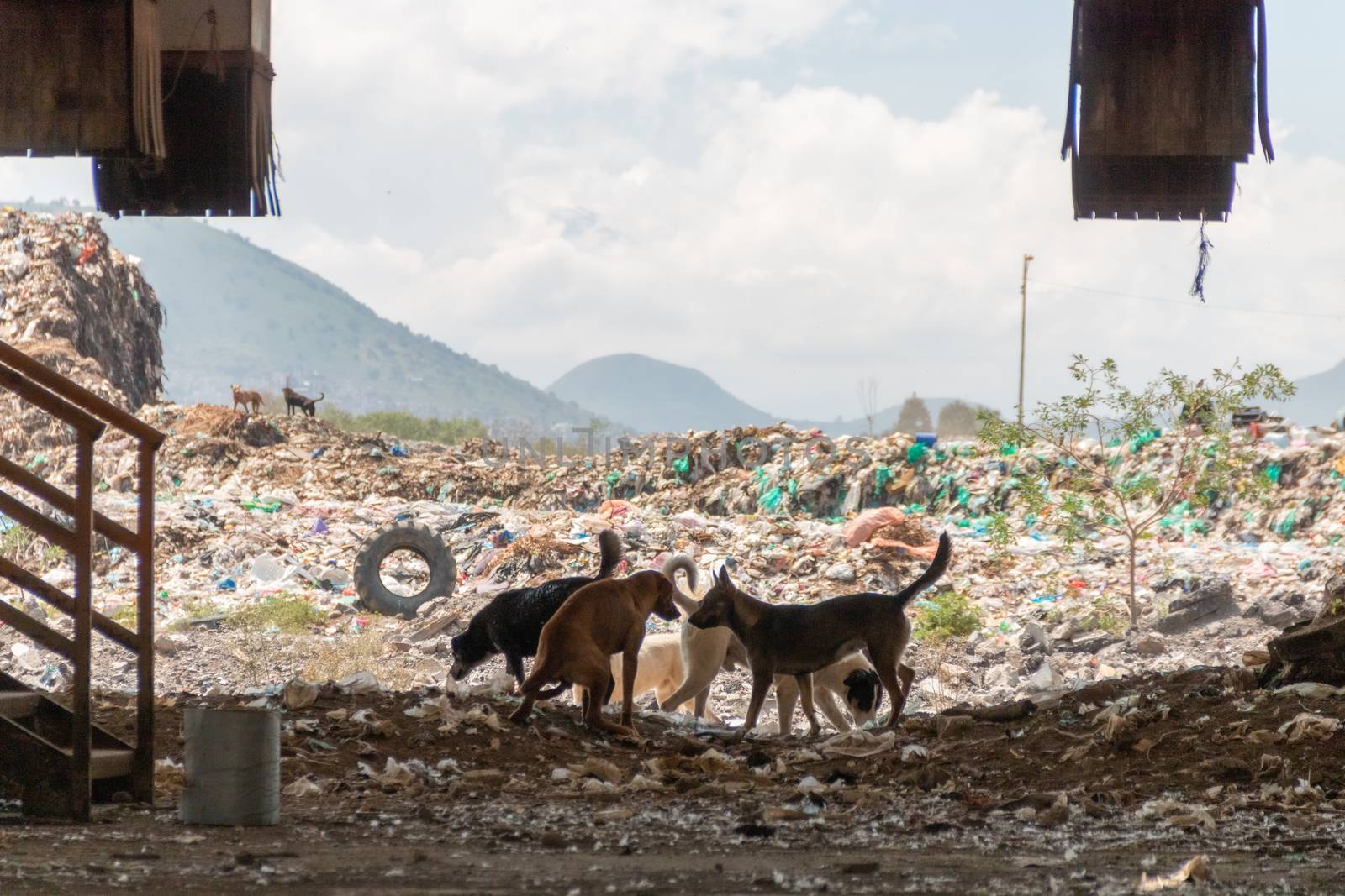 A huge landfill for waste disposal. Accumulation of garbage in landfill or deposit. by leo_de_la_garza