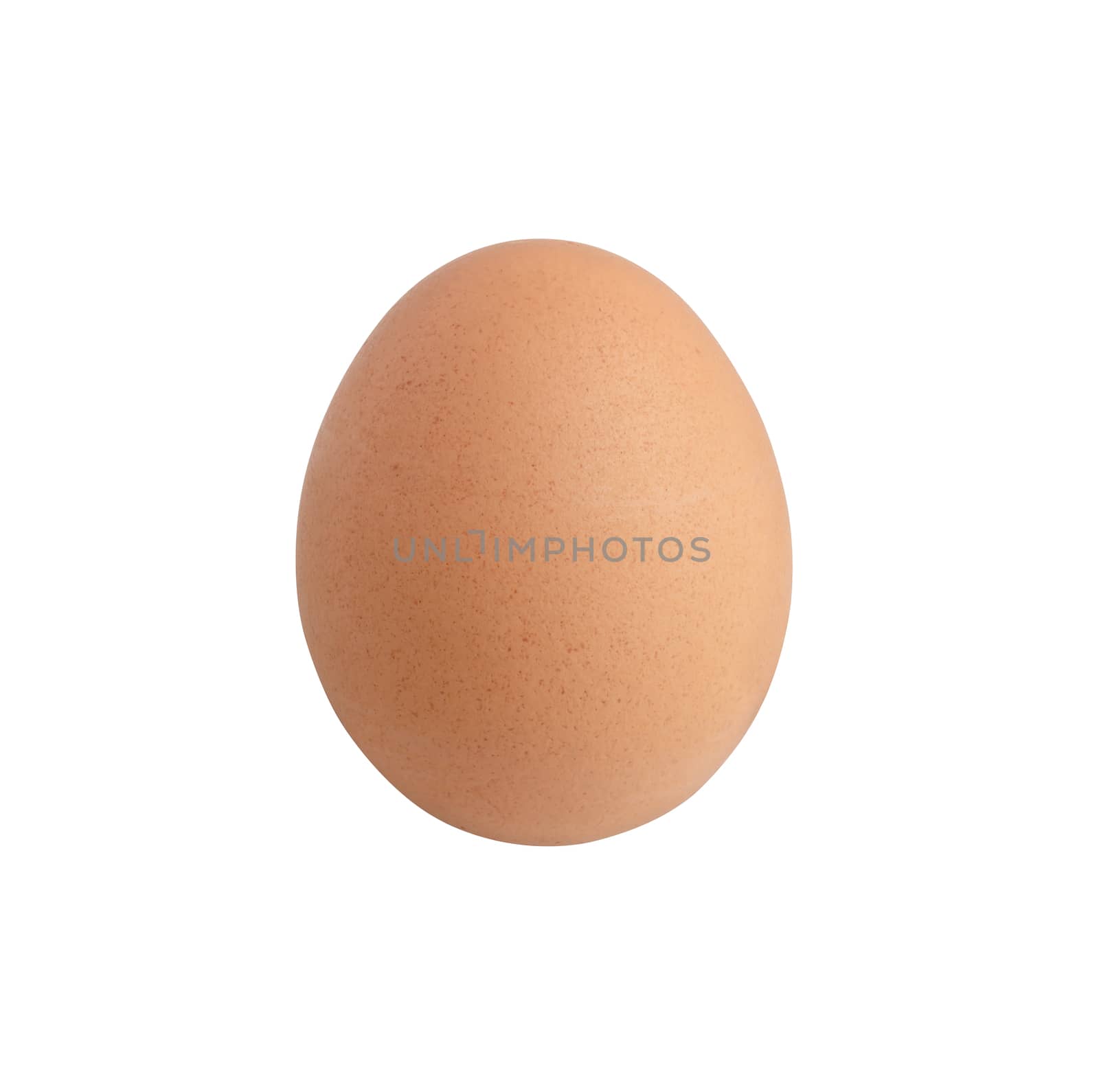 Raw chicken egg isolated on the white background with clipping paths