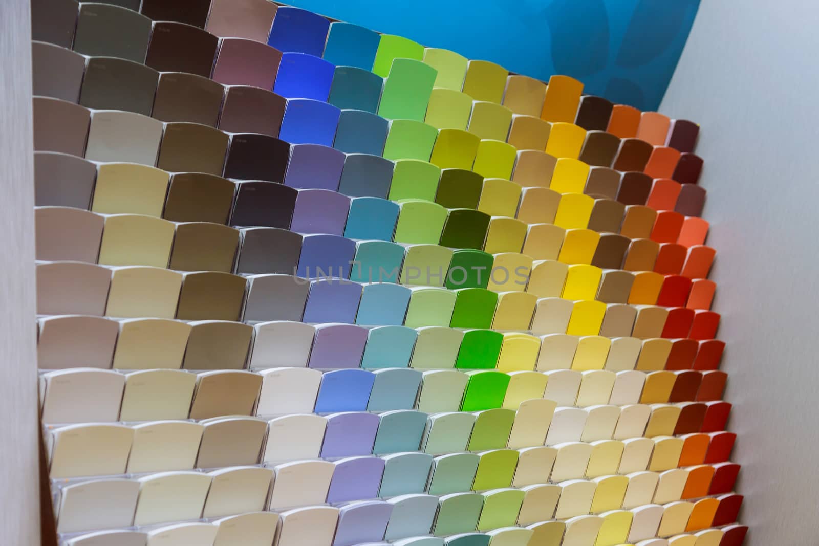 Paint color swatches on display in a painting store shop for interior designers and customers