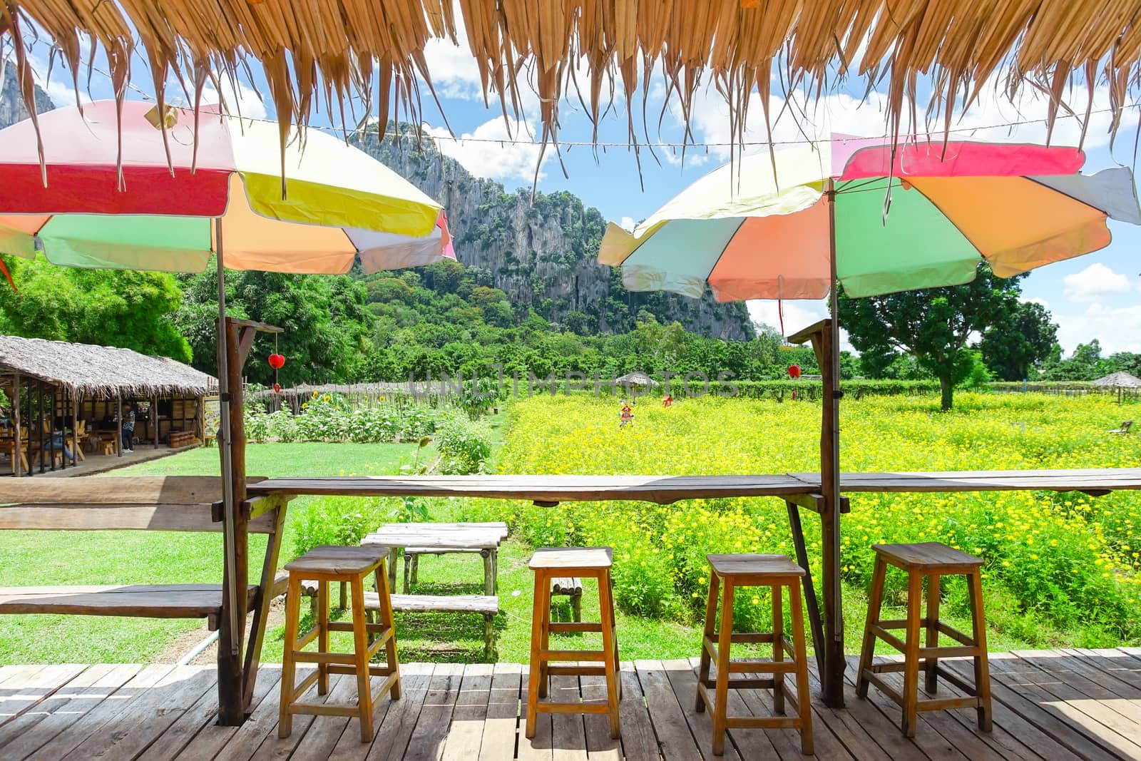 Sa Kaeo, Thailand - July 17, 2020: Beautiful scenery at the popular coffee cafe named Woodhouse Khao Chakan in Khao Chakan District, Sa Kaeo Province, Thailand.