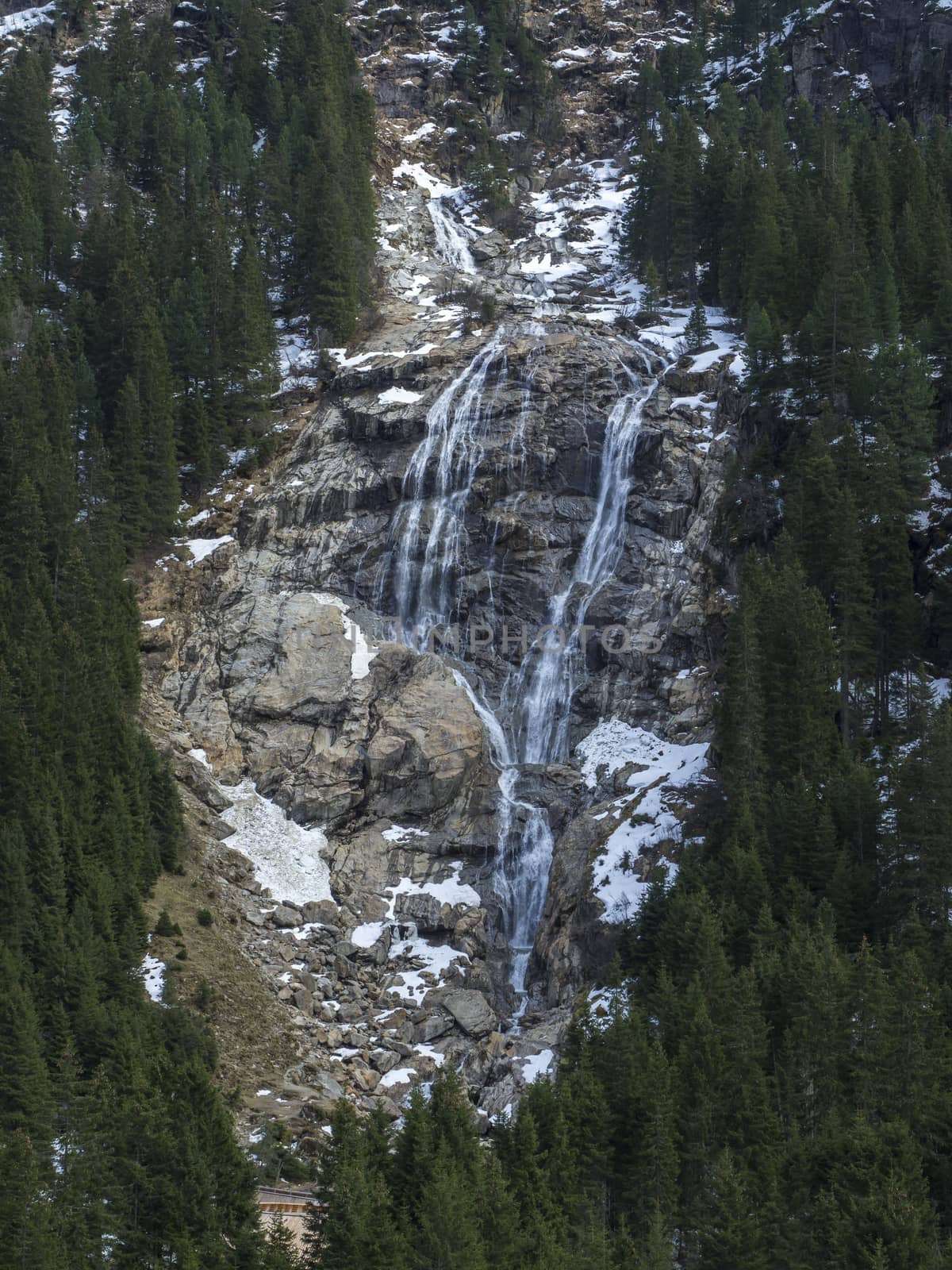 GRAWA Wasserfall Glacier Waterfall situated in Stubai Valley, Tyrol, Austria. Spring mountain river and trees landscape natural environment. Hiking in the alps