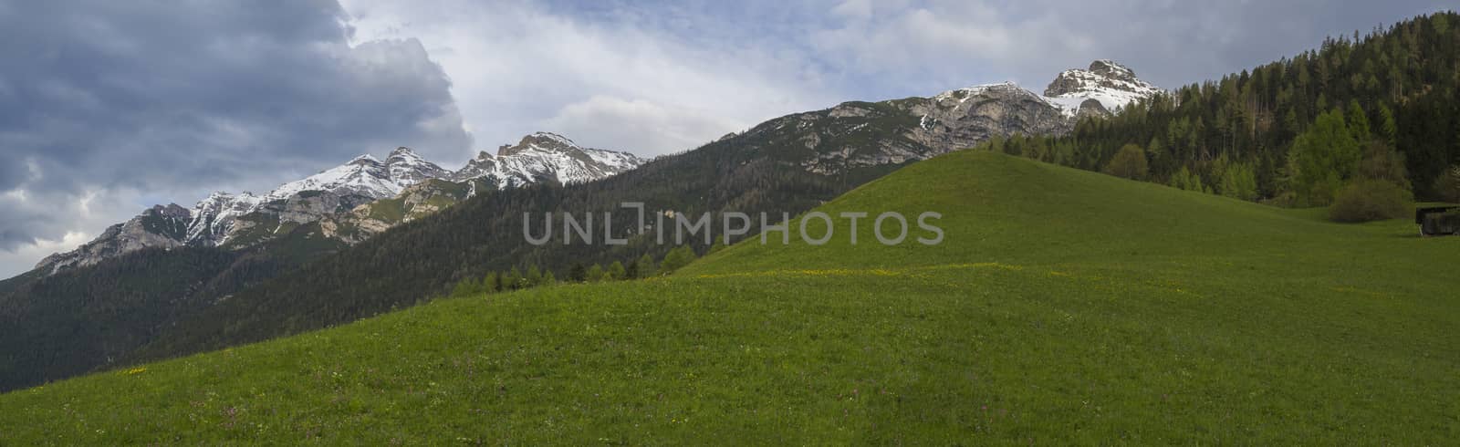 Panoramic landscape of green spring meadow with blooming flowers and trees, forest and snow covered mountain peak in Stubai valley, dramatic clouds.Neustift im Stubaital Tyrol, Austrian Alps.