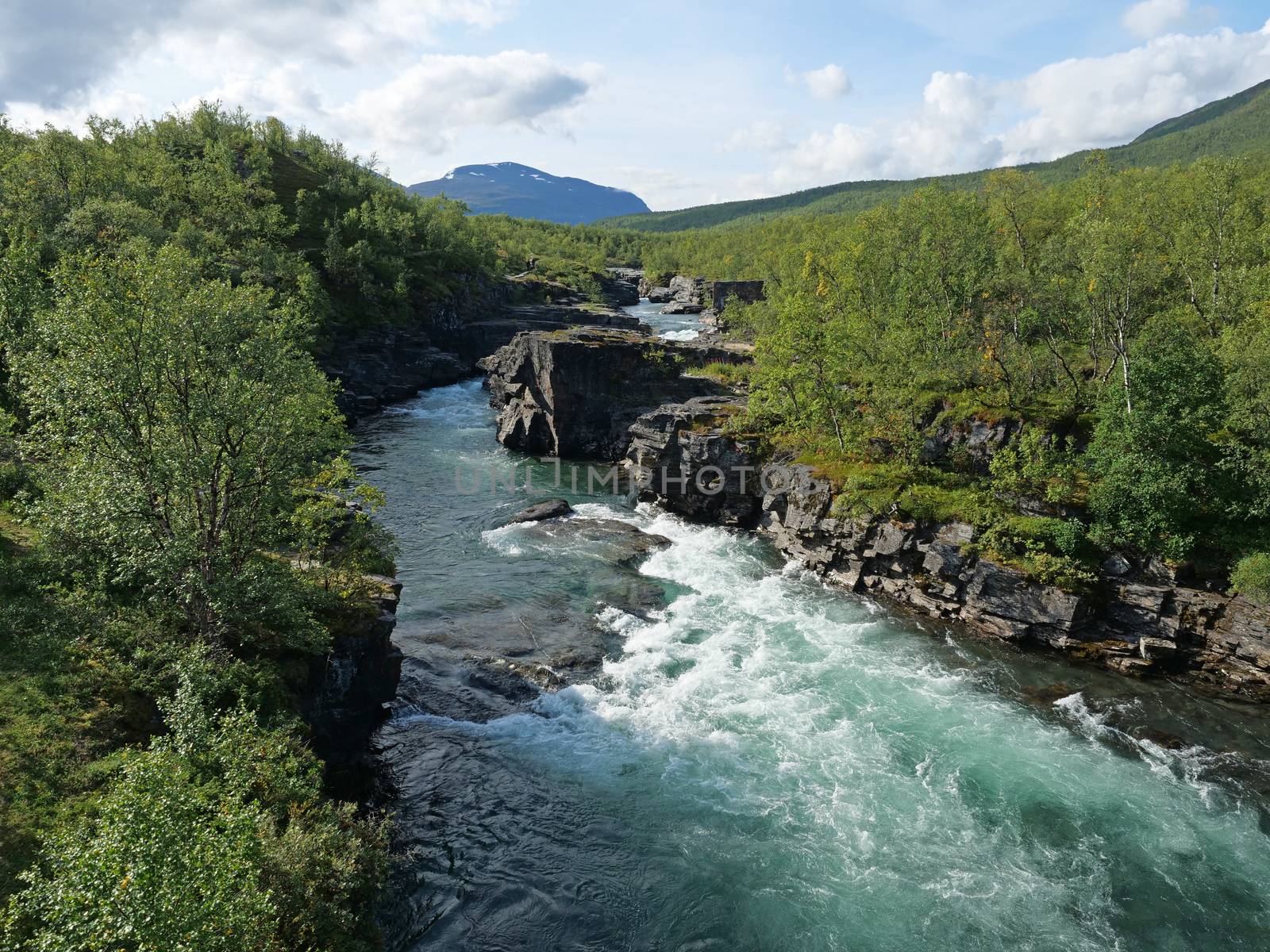 Blue glacial river canyon carved in the limestone and granite. Abisko National Park, Lapland, Northern Sweden, at the start of Kungsleden trail. Summer sunny day.