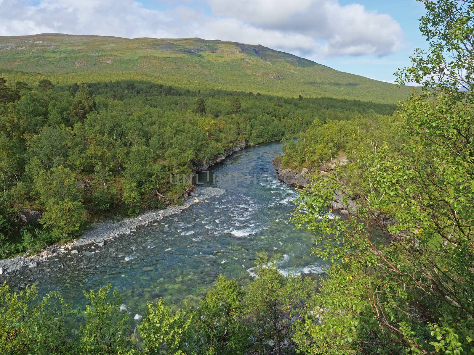 Blue glacial river canyon and green birch tree forest and hills at Abisko National Park, Lapland, Northern Sweden, at the start of Kungsleden trail. Summer sunny day.