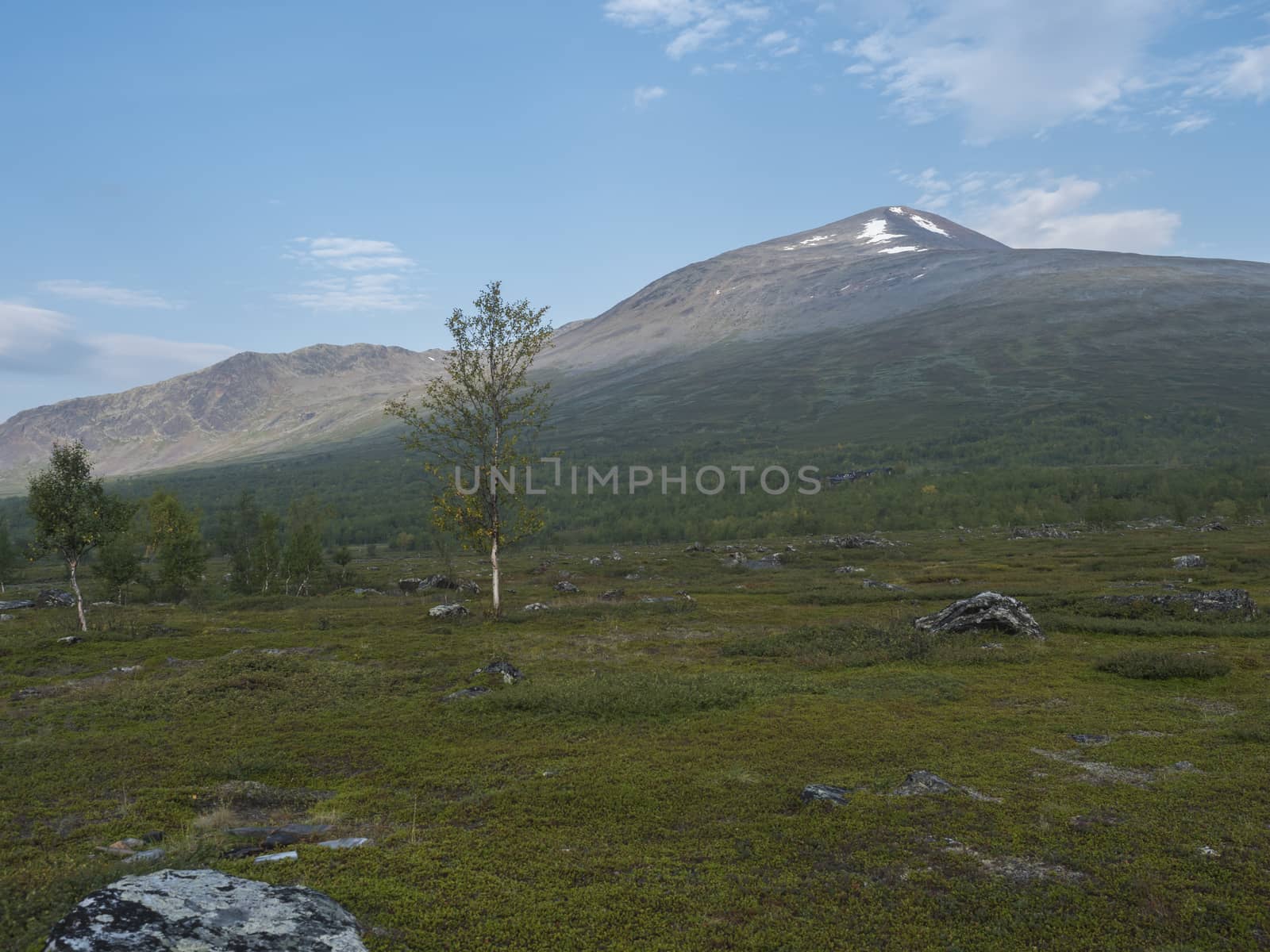 Colorful mountain Sanjartjakka with Kaitumjaure Mountain hut and Beautiful wild Lapland nature landscape with birch tree forest. Blue sky background.