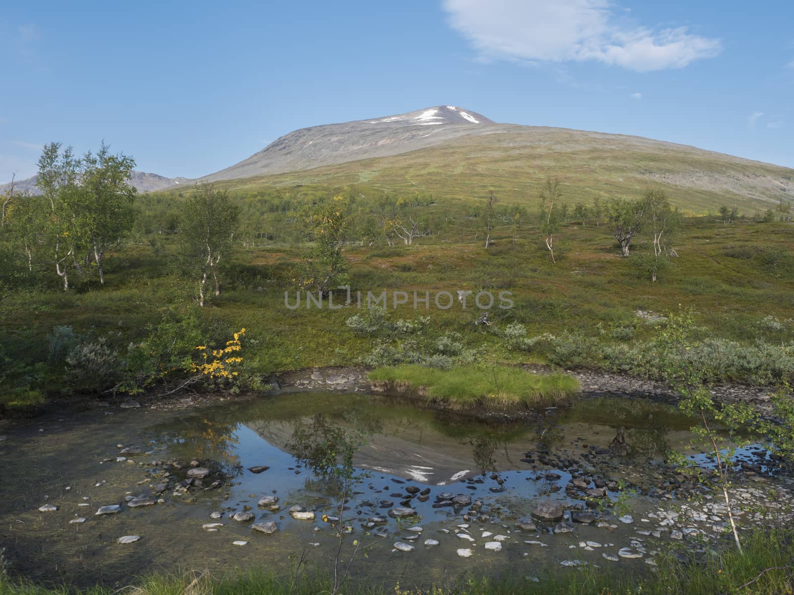 Colorful snow capped mountain Sanjartjakka reflecting in small pond and Beautiful wild Lapland nature landscape and birch tree forest. Summer blue sky background.