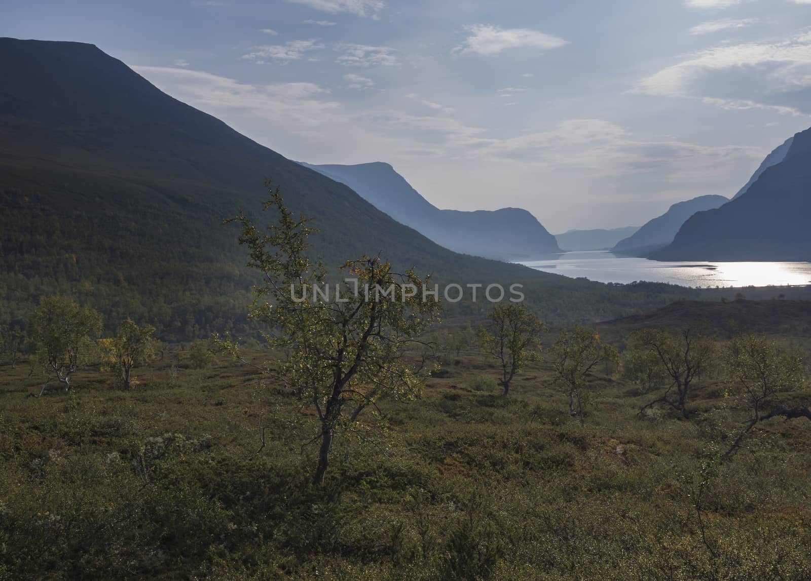 Beautiful wild Lapland nature landscape with blue Kaitumjaure lake, birch tree forest and mountains. Northern Sweden summer at Kungsleden hiking trail. Blue sky background.