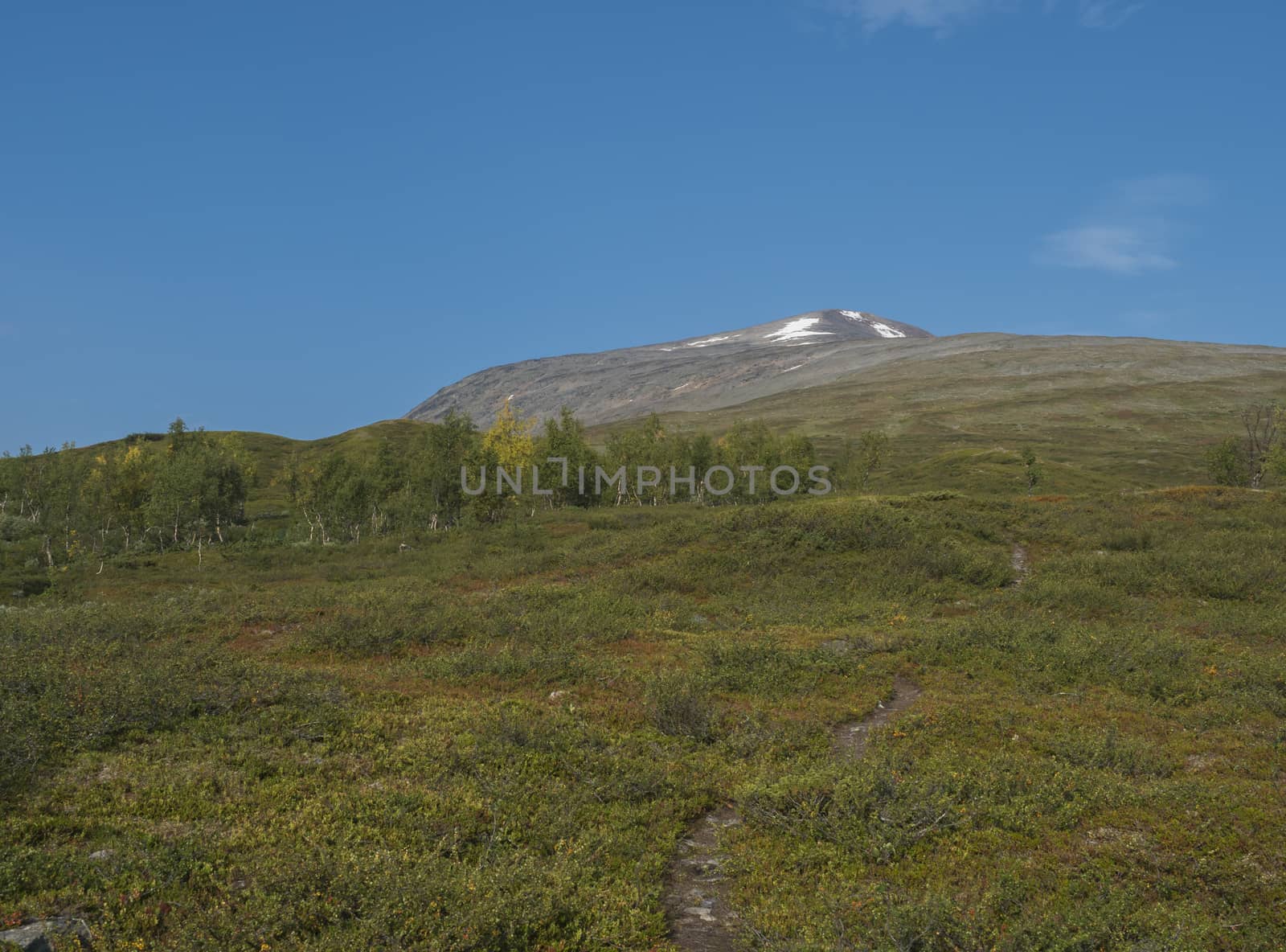 Footpath to peak of mountain Sanjartjakka with Beautiful wild Lapland nature landscape with birch tree forest. Blue sky background.